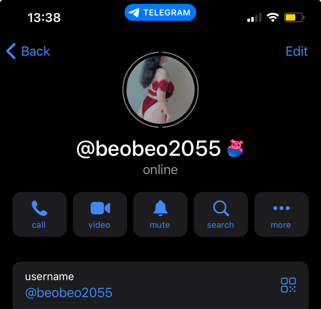 395016-e18533f537ed.jpeg
