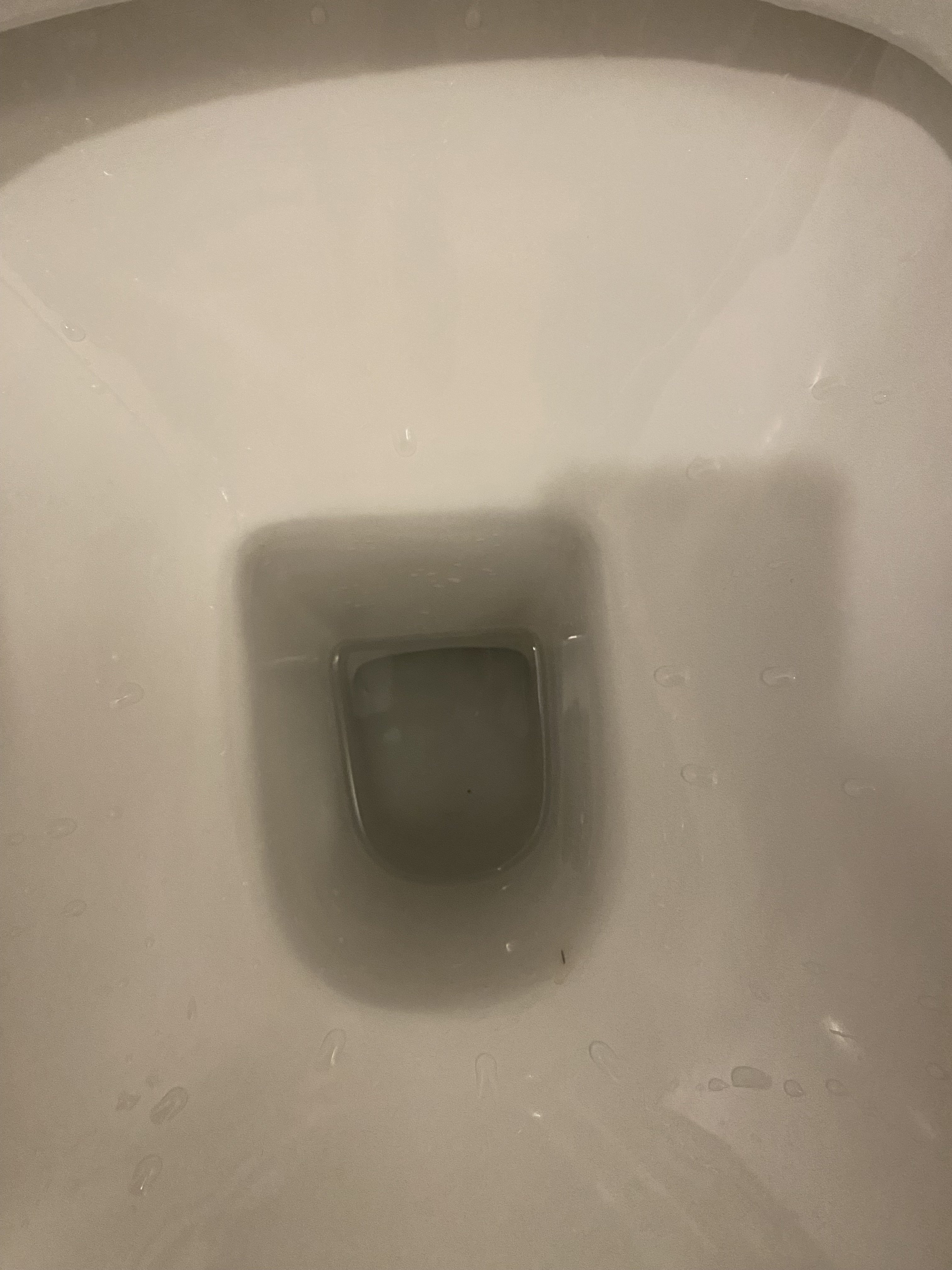 396586-2280a96547fe.jpeg