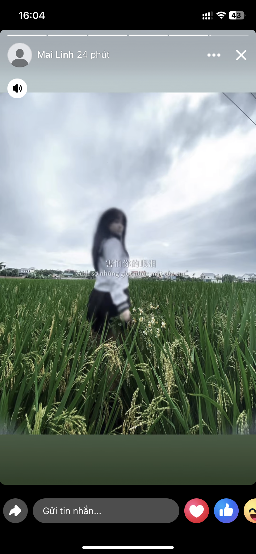398764-614f6b1ebd52.png