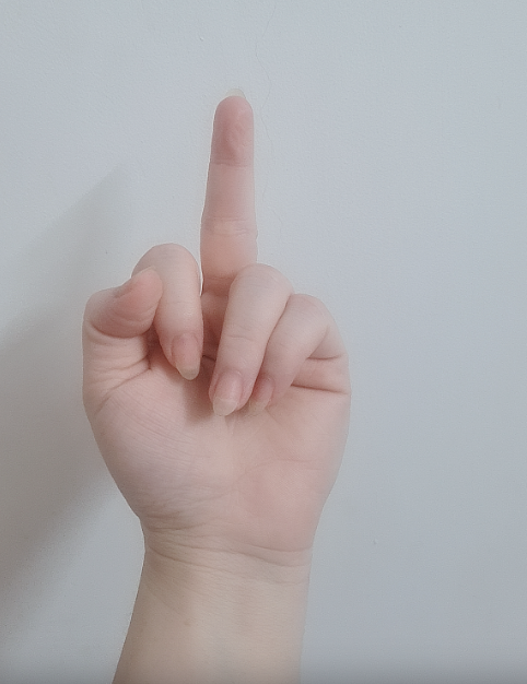 399619-9462a9f760b7.png