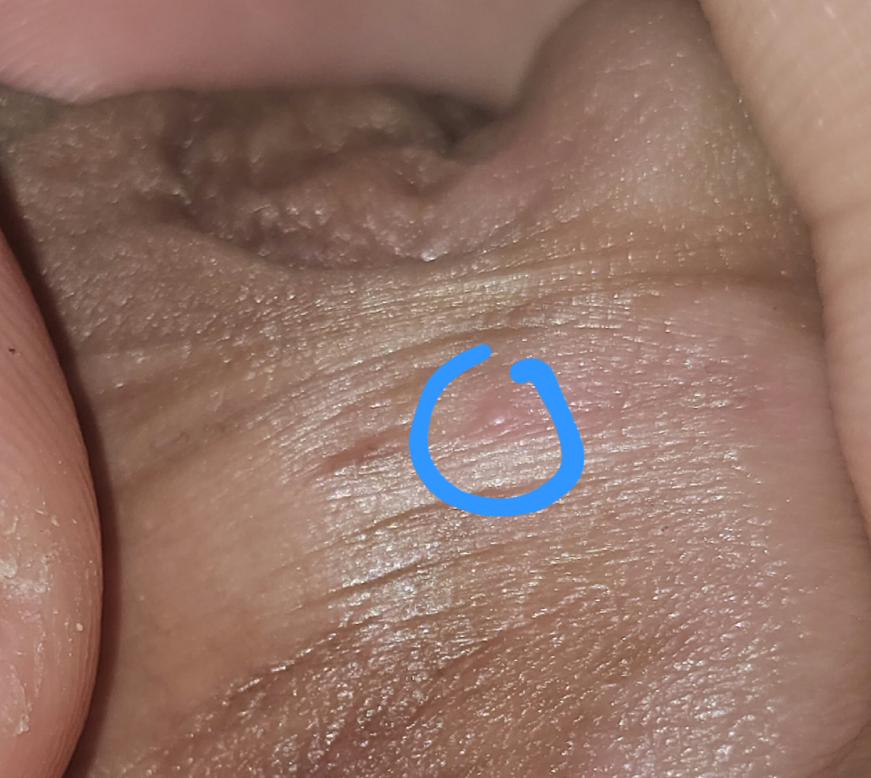 401983-b3100f57bd76.jpg