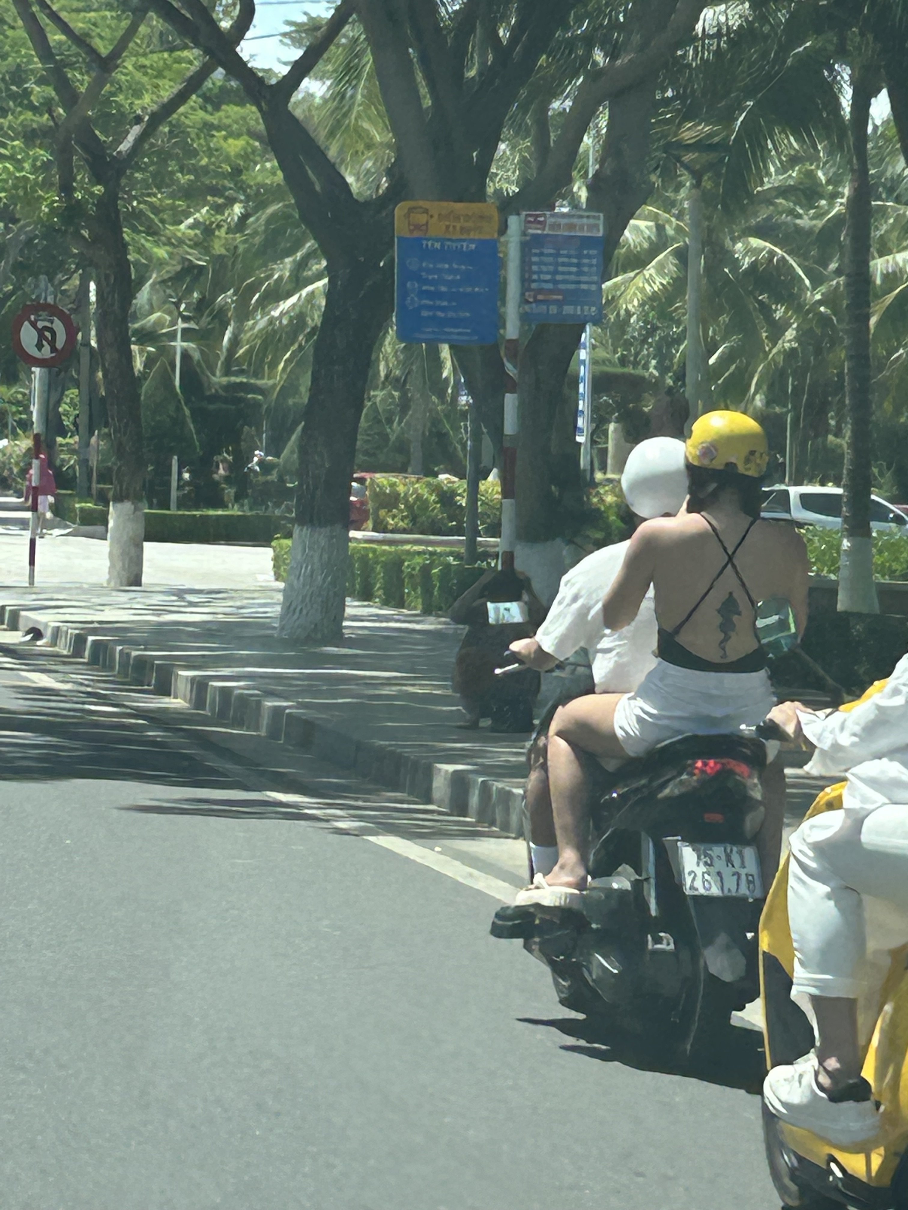 403317-f72abc3b1578.jpeg