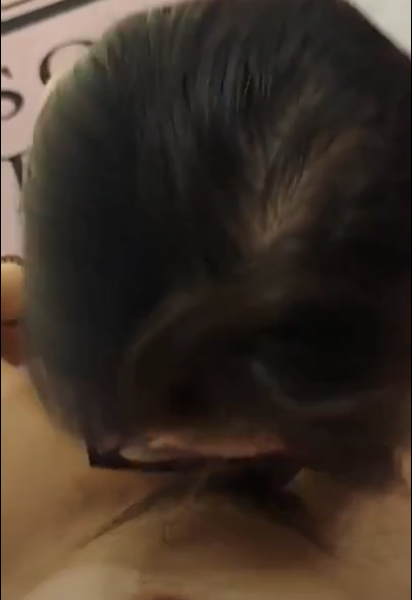 408263-77122c5ee0c3.png