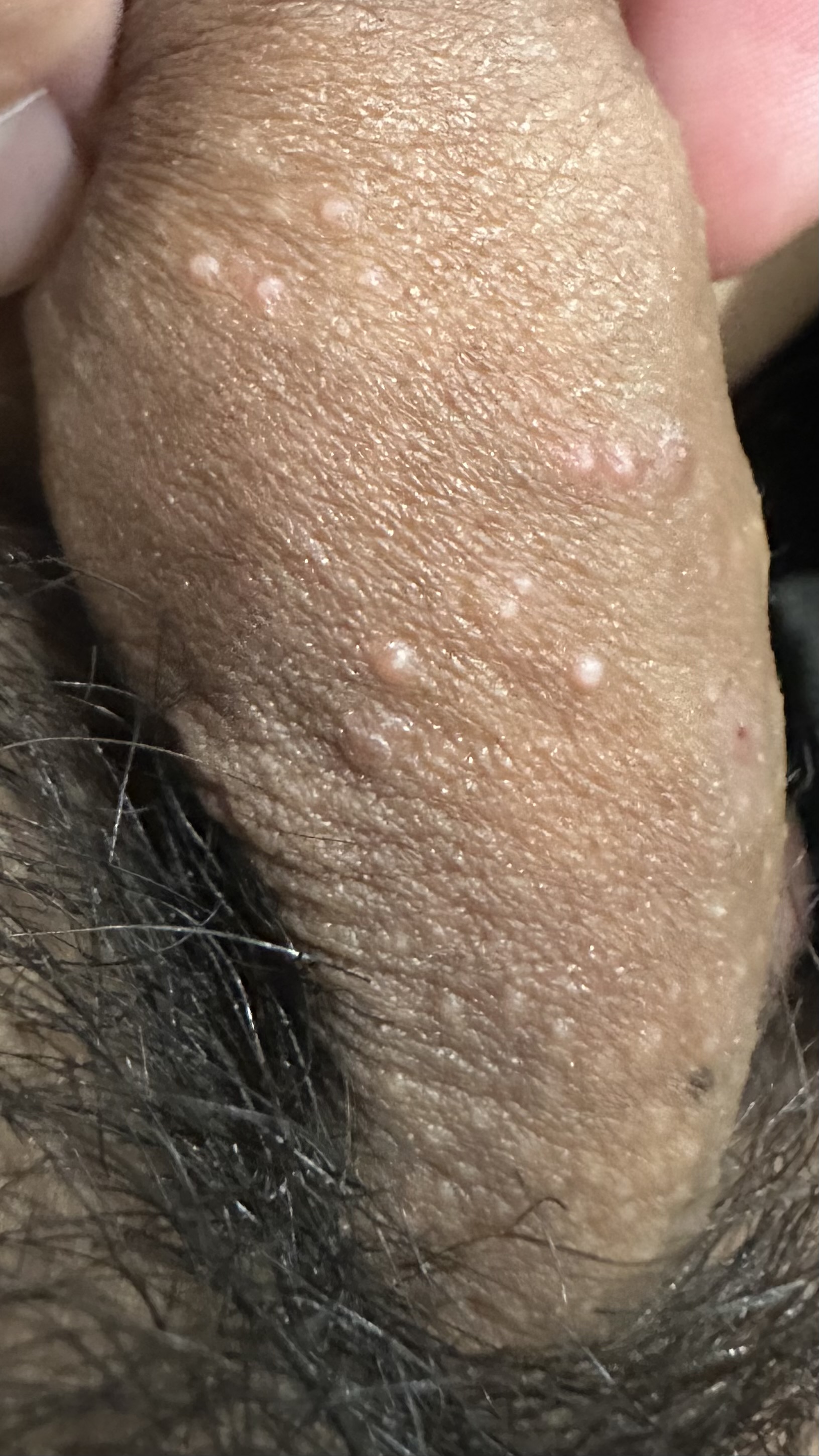 409585-ba64b6a42995.jpeg
