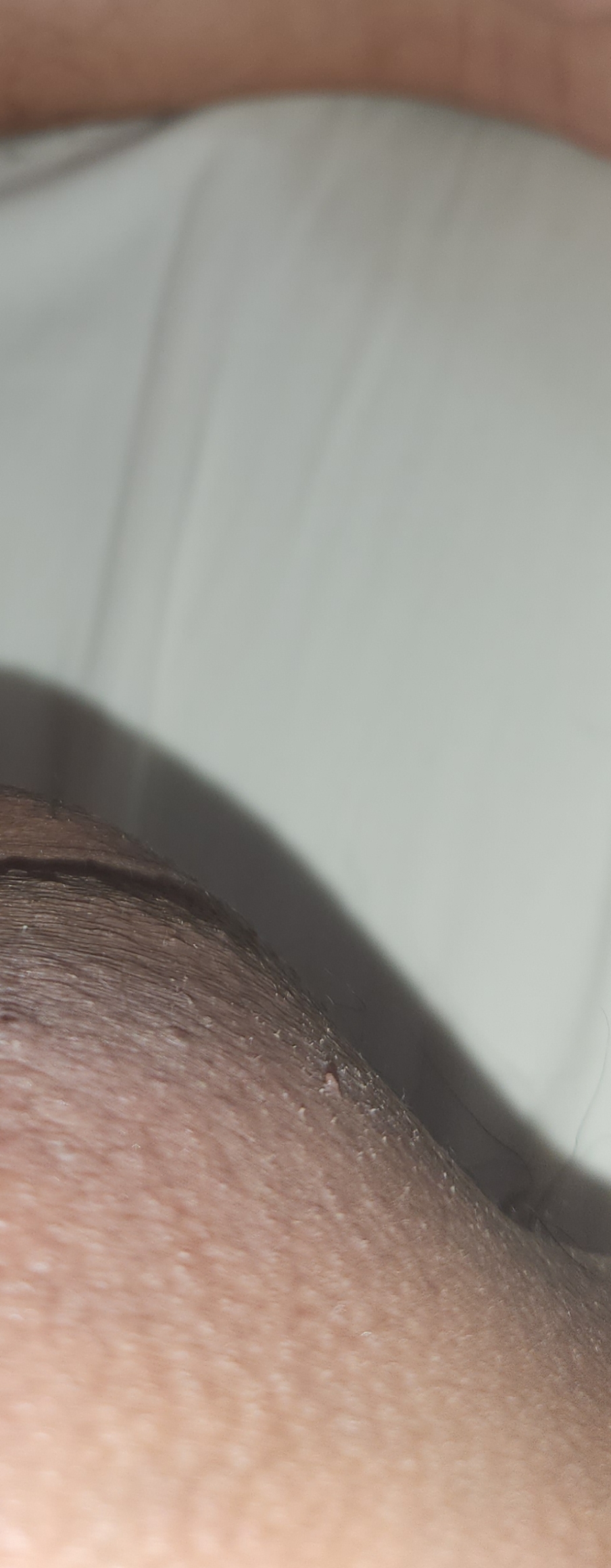 409627-e4d316ade0d4.jpg