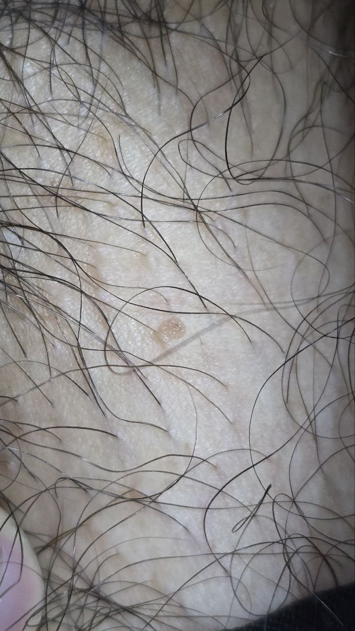411010-dd620c255264.jpg
