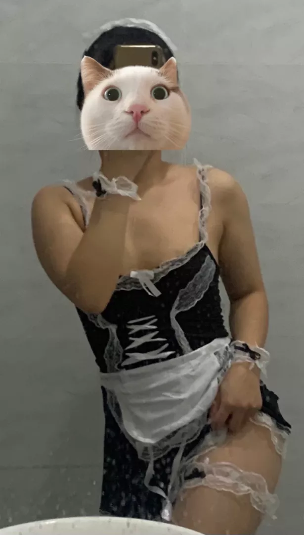 413712-cc339073bb54.png