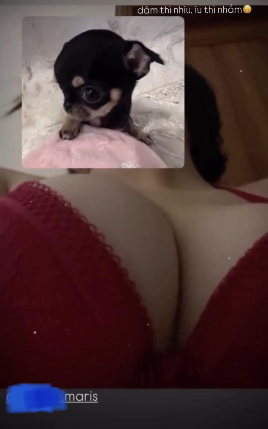 421194-54cced2bd7b5.jpeg