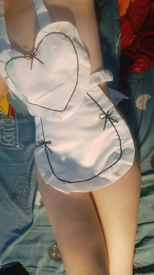424688-39e11904ed19.png