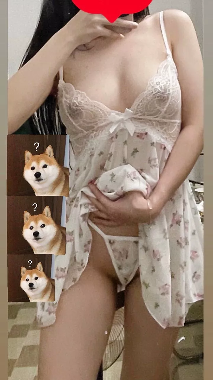 425666-87bad879971a.png