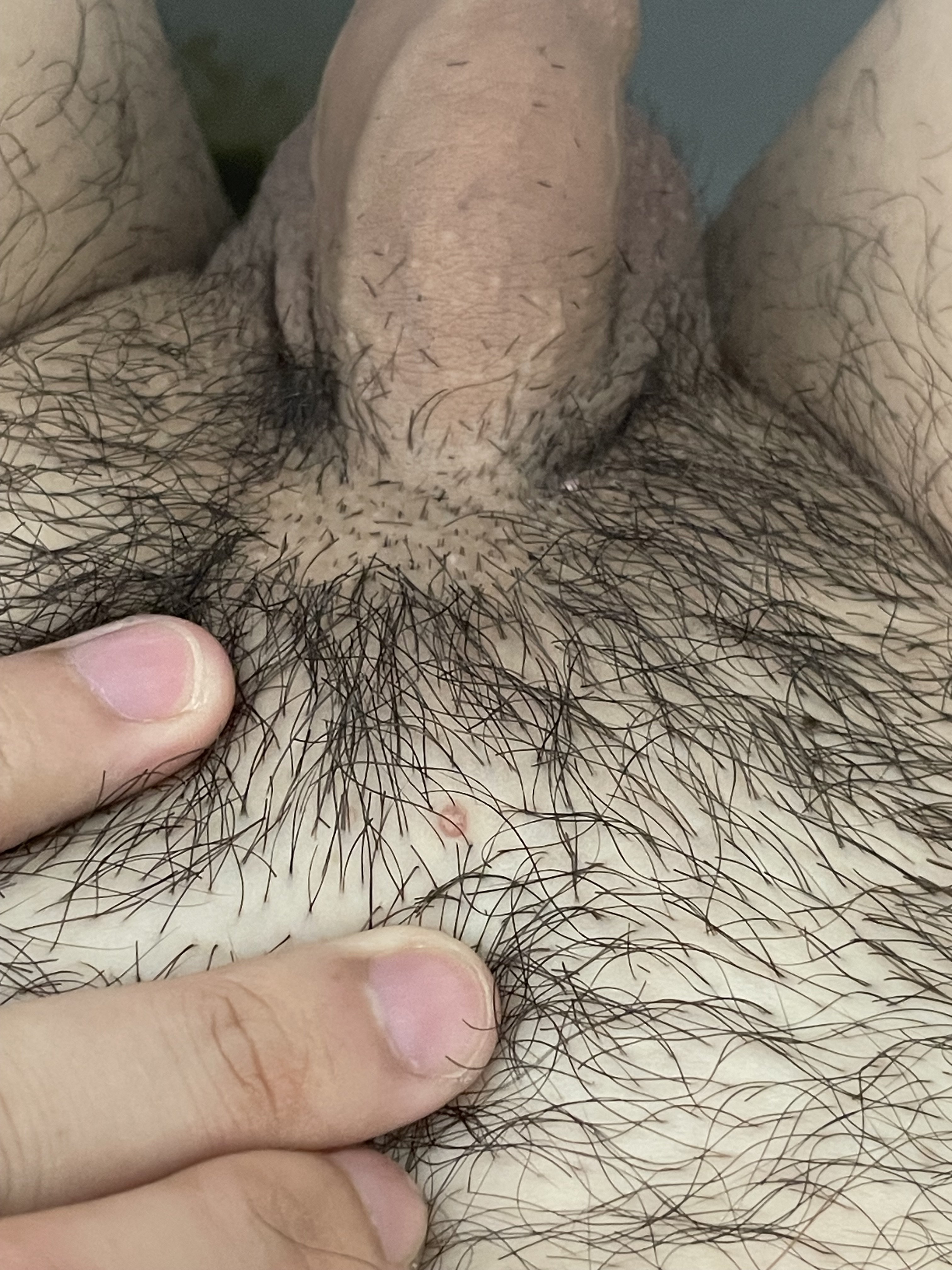 427593-6327d9555b5a.jpeg
