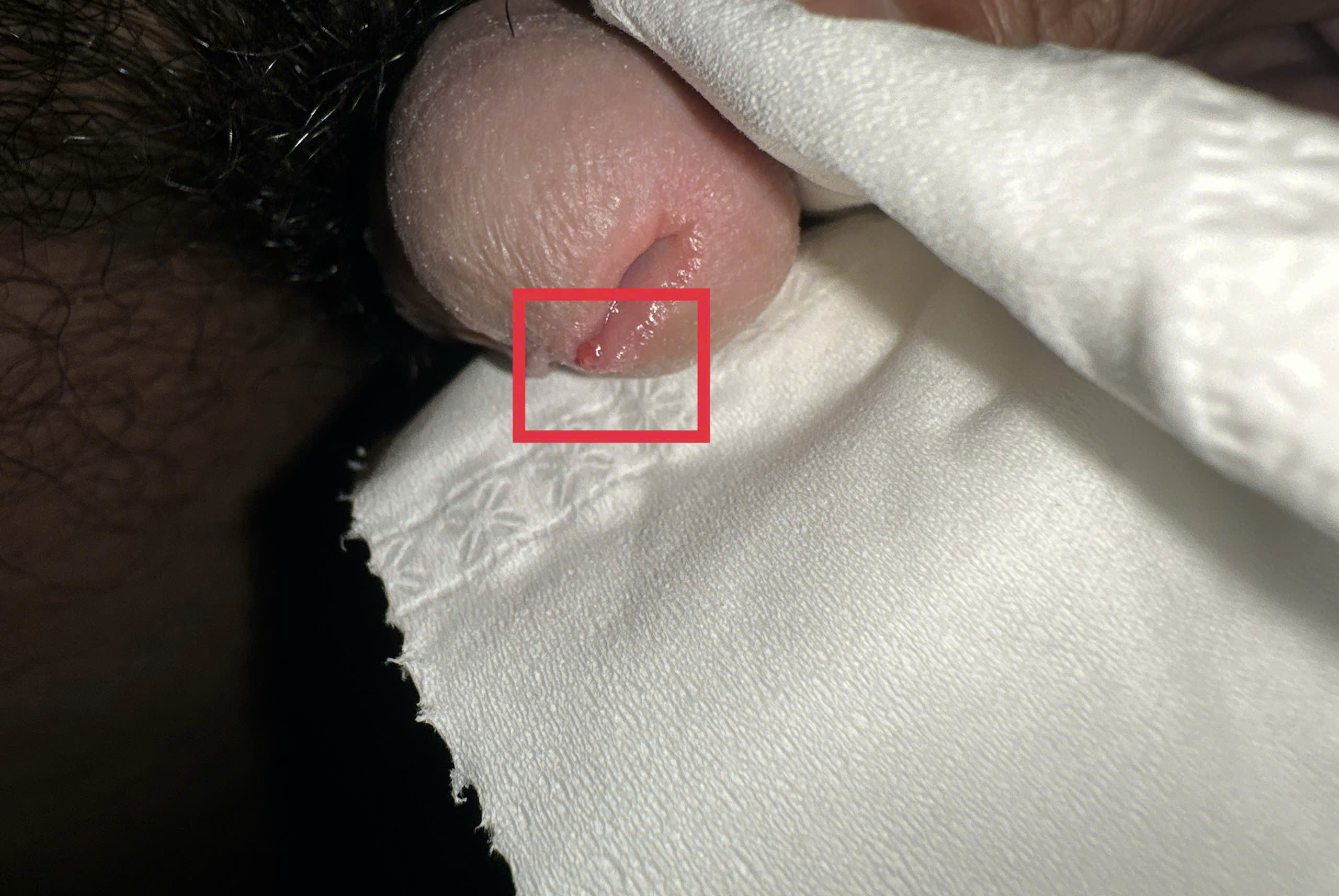 437914-54159c943809.jpg