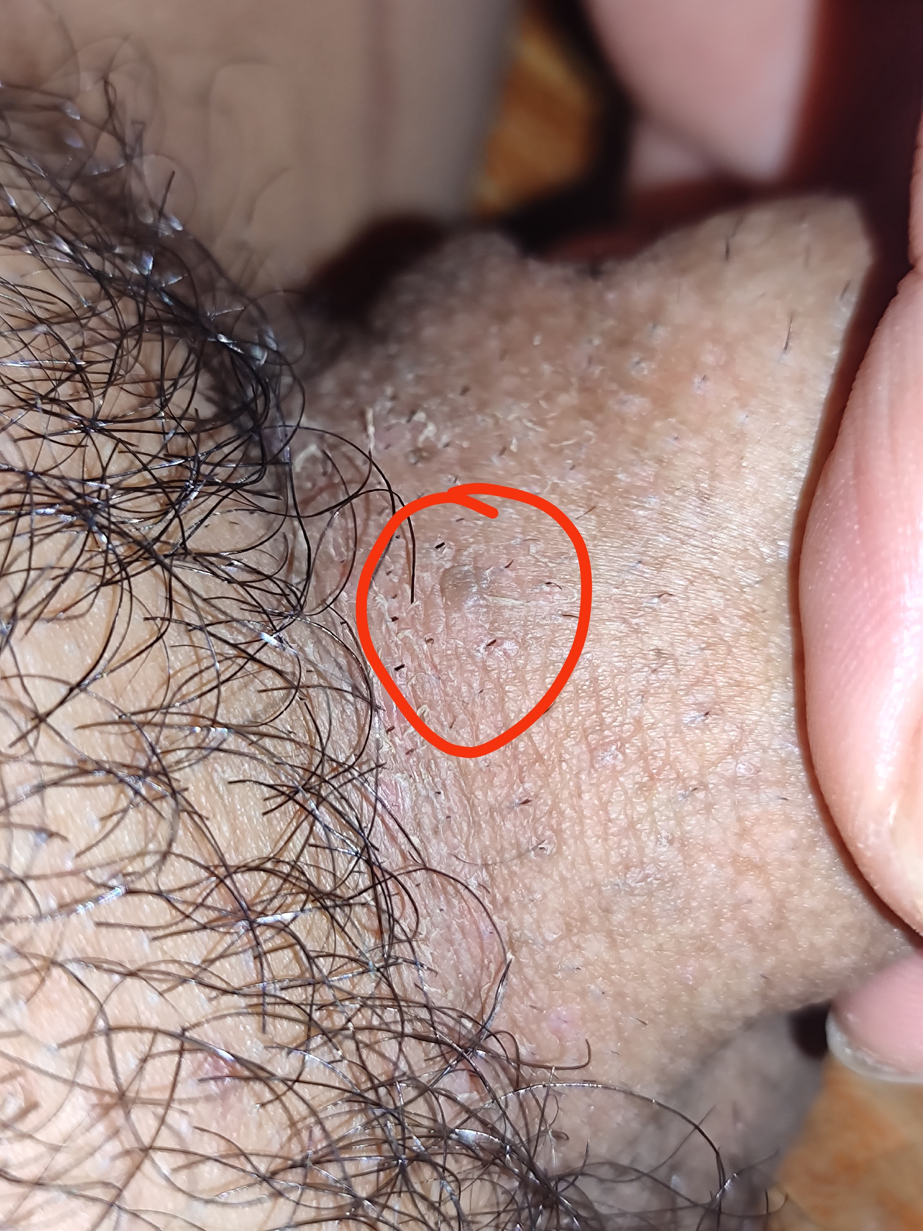 439328-2be586088b66.jpg