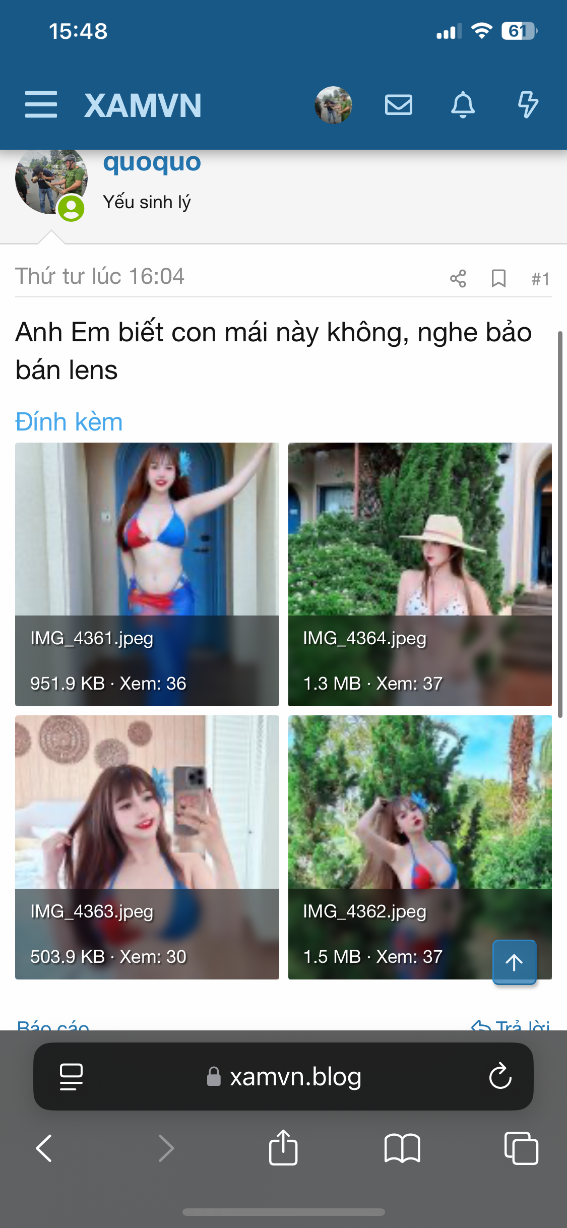 444127-d243896e150a.png