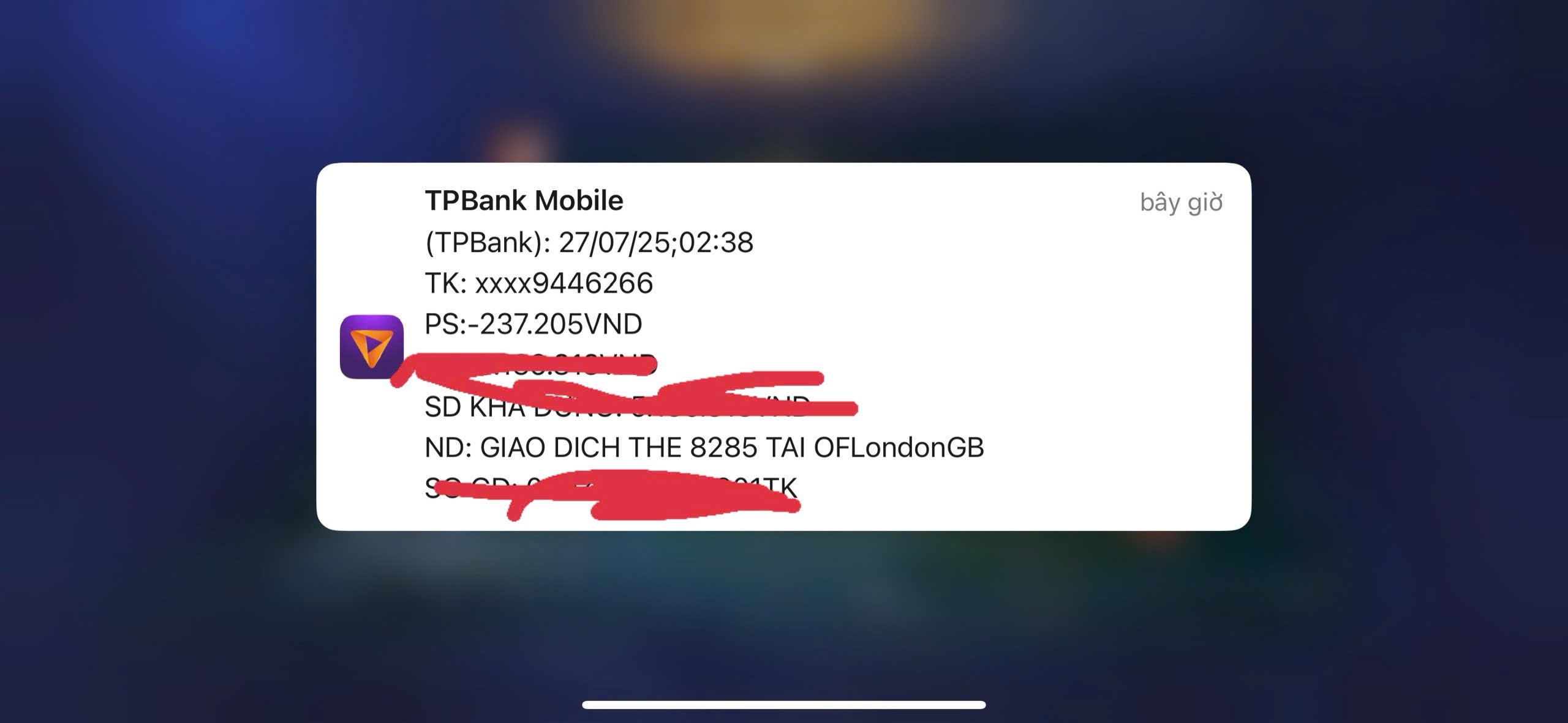 445444-de6b5f24cb01.jpeg