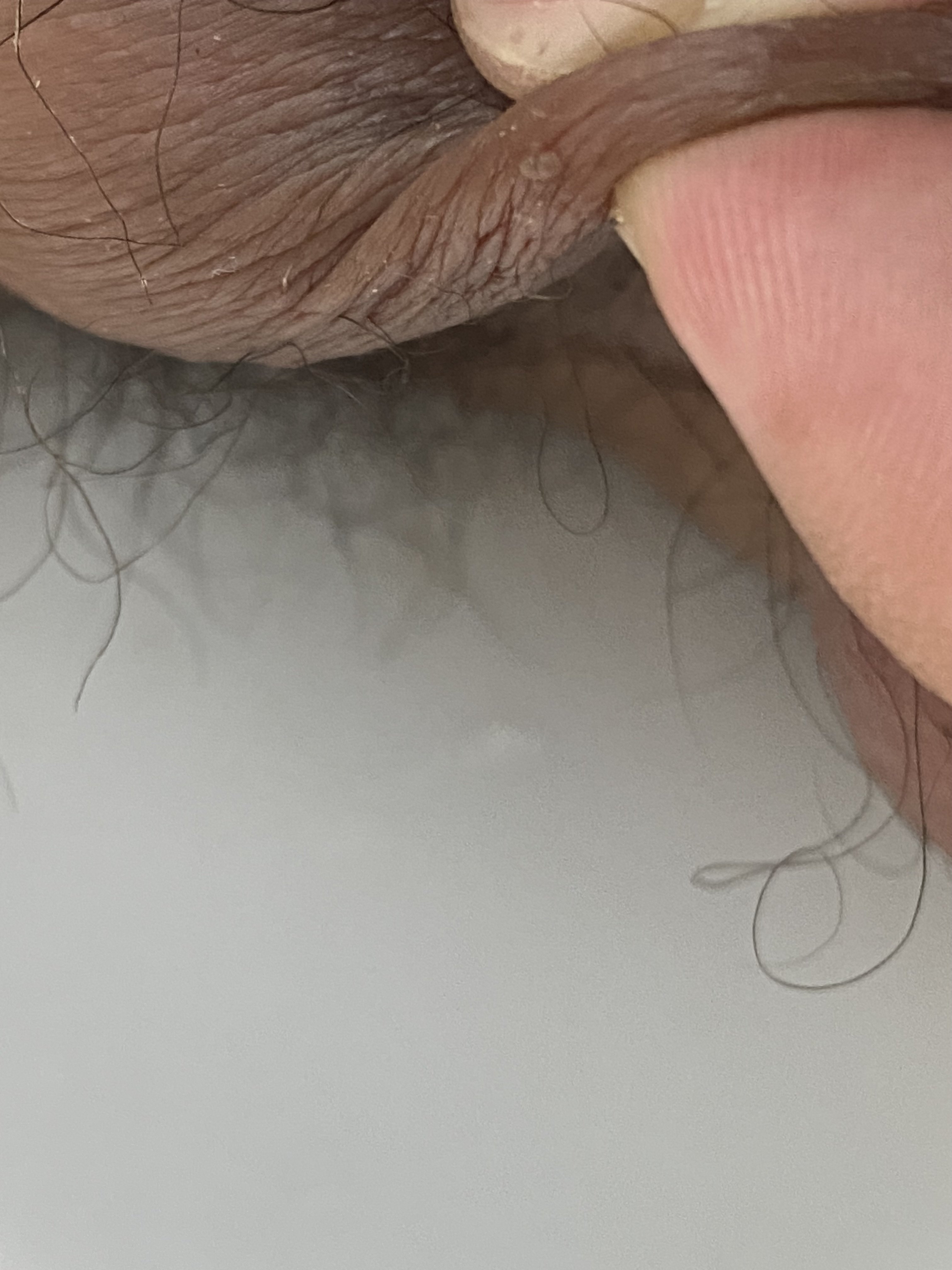 447082-5adf2ebe3540.jpeg