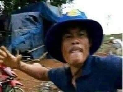 449202-18de09cf3ffa.jpeg