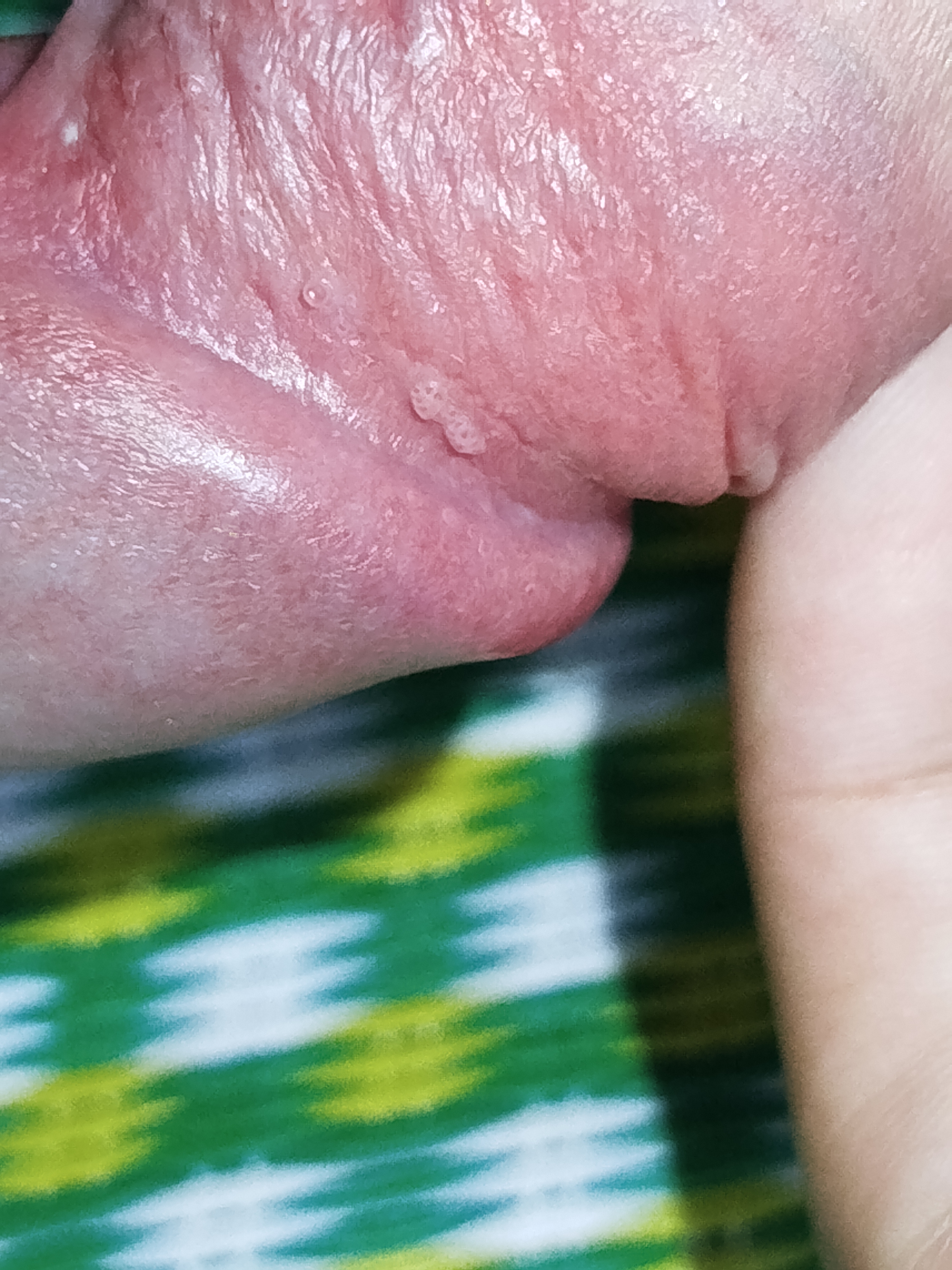 456062-de60382c2b08.jpg