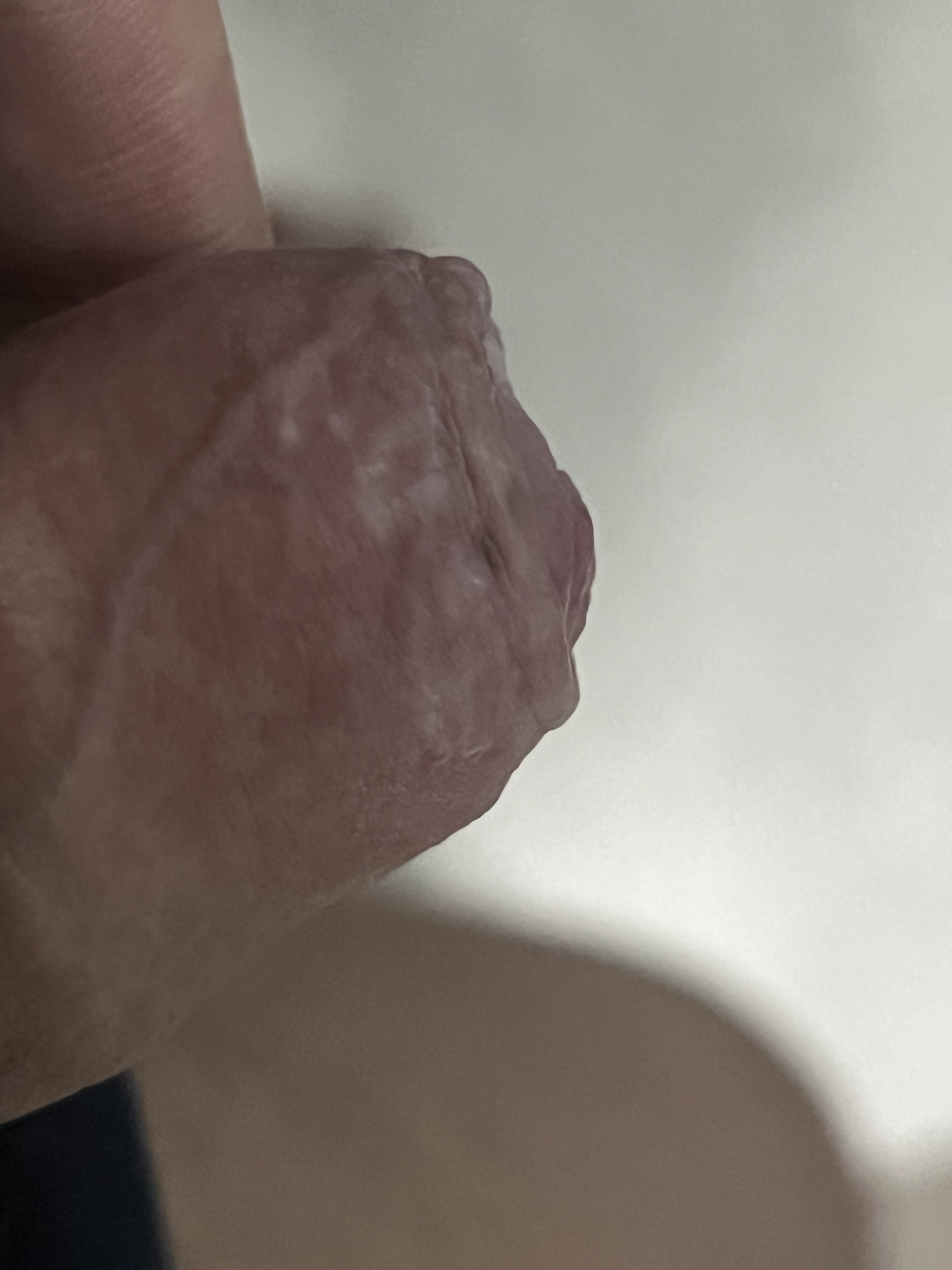 459279-f215cfbba898.jpeg