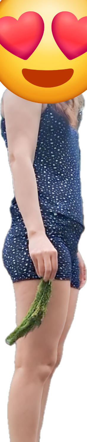 463172-d595fb4f2f56.png