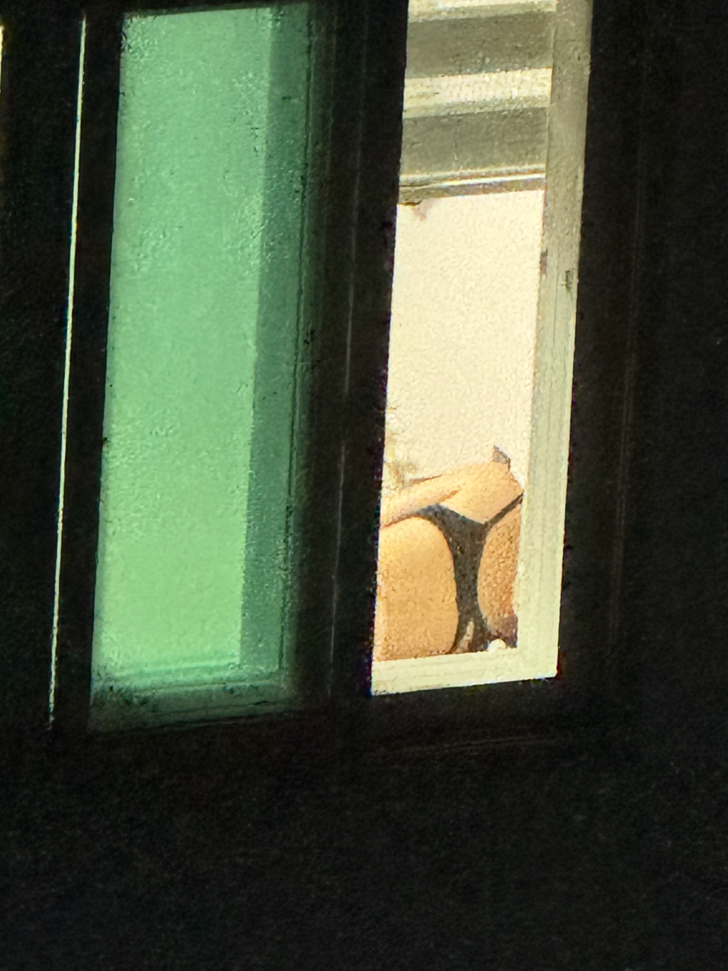 472079-25280cdaece8.jpeg