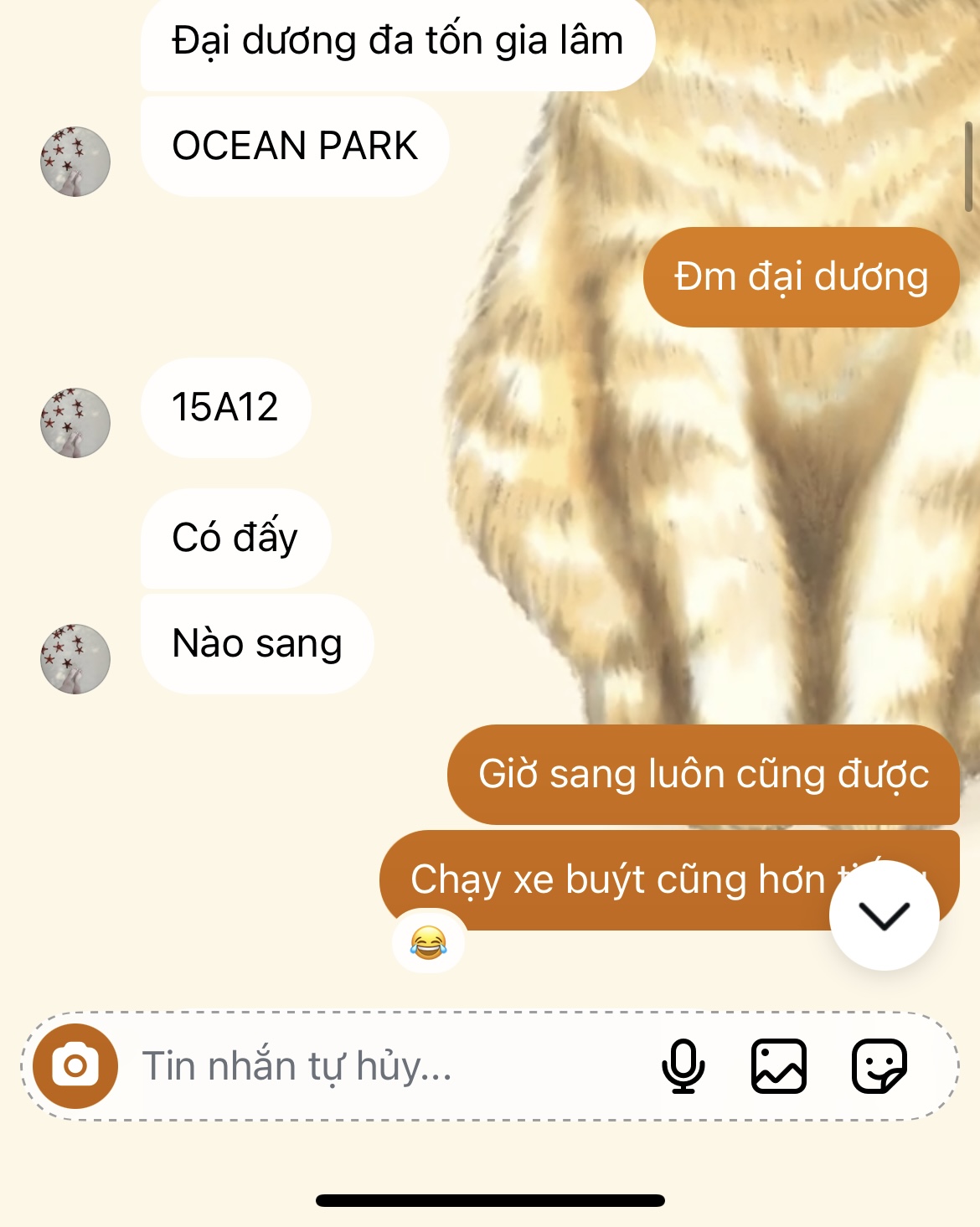 473589-a86d8f4ad5a1.jpeg