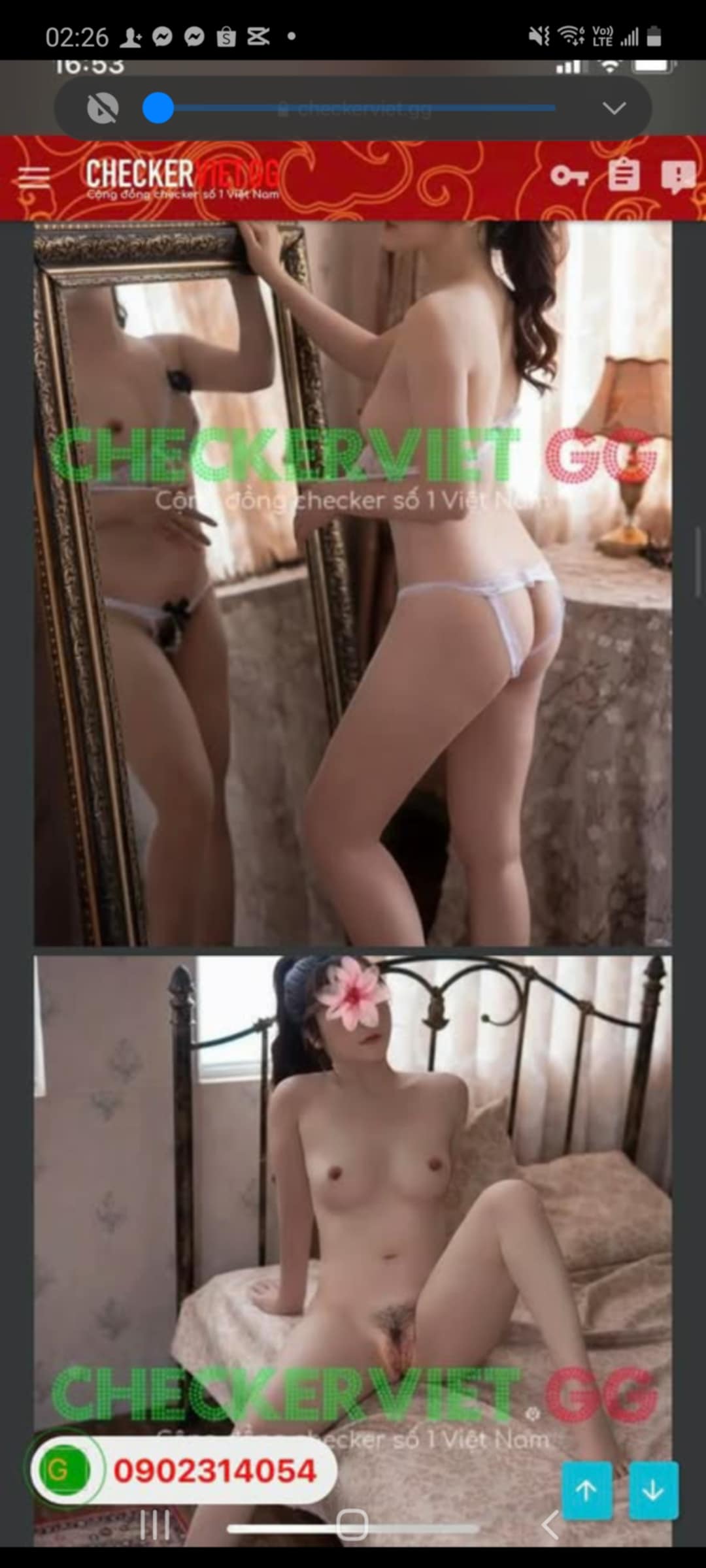 473809-21bf224dd3f6.jpeg