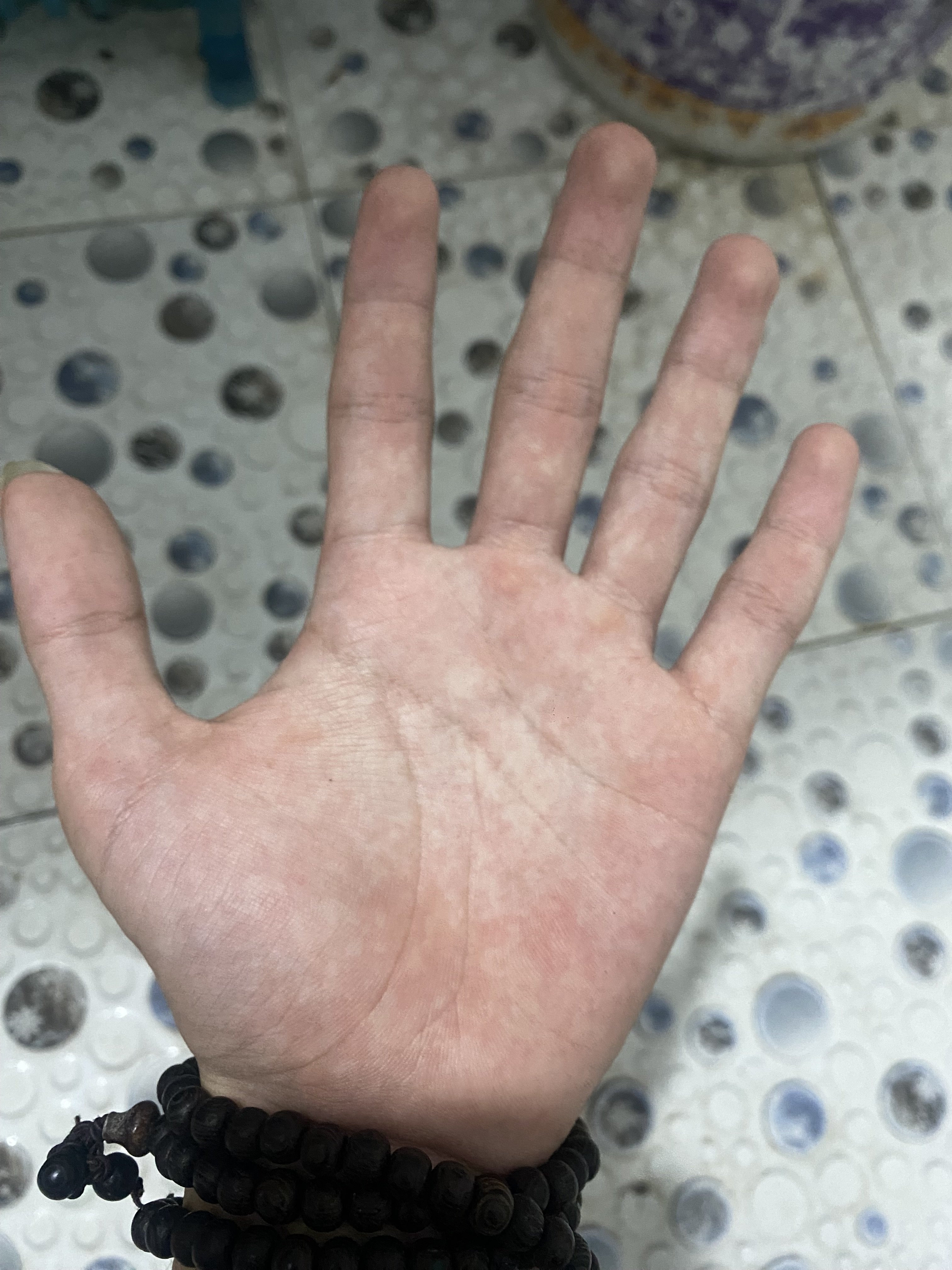 475538-ffb0a732d0f4.jpeg