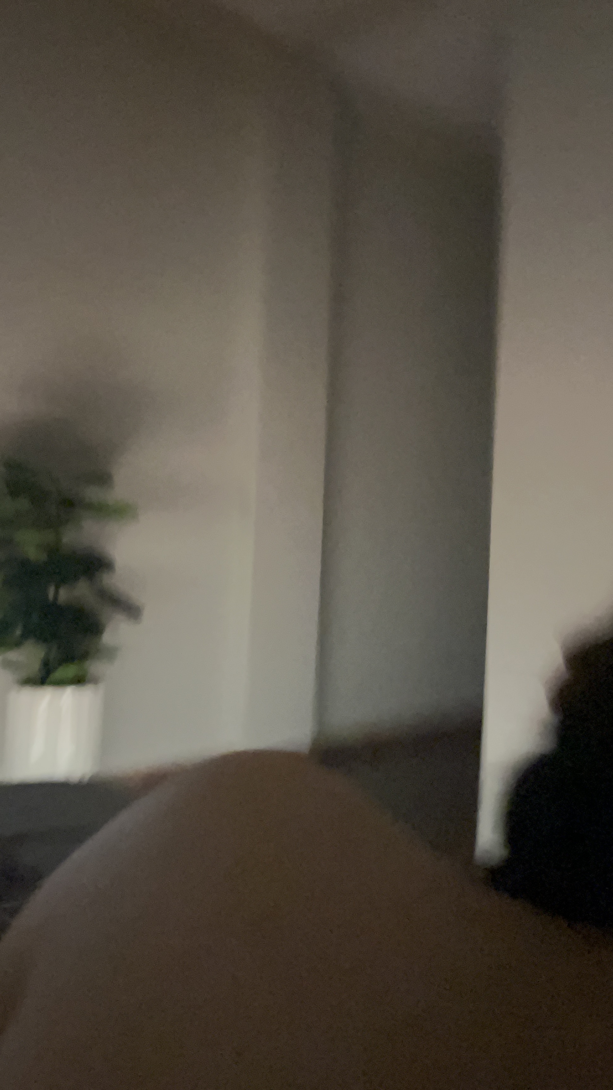 480150-83d324931d42.jpeg