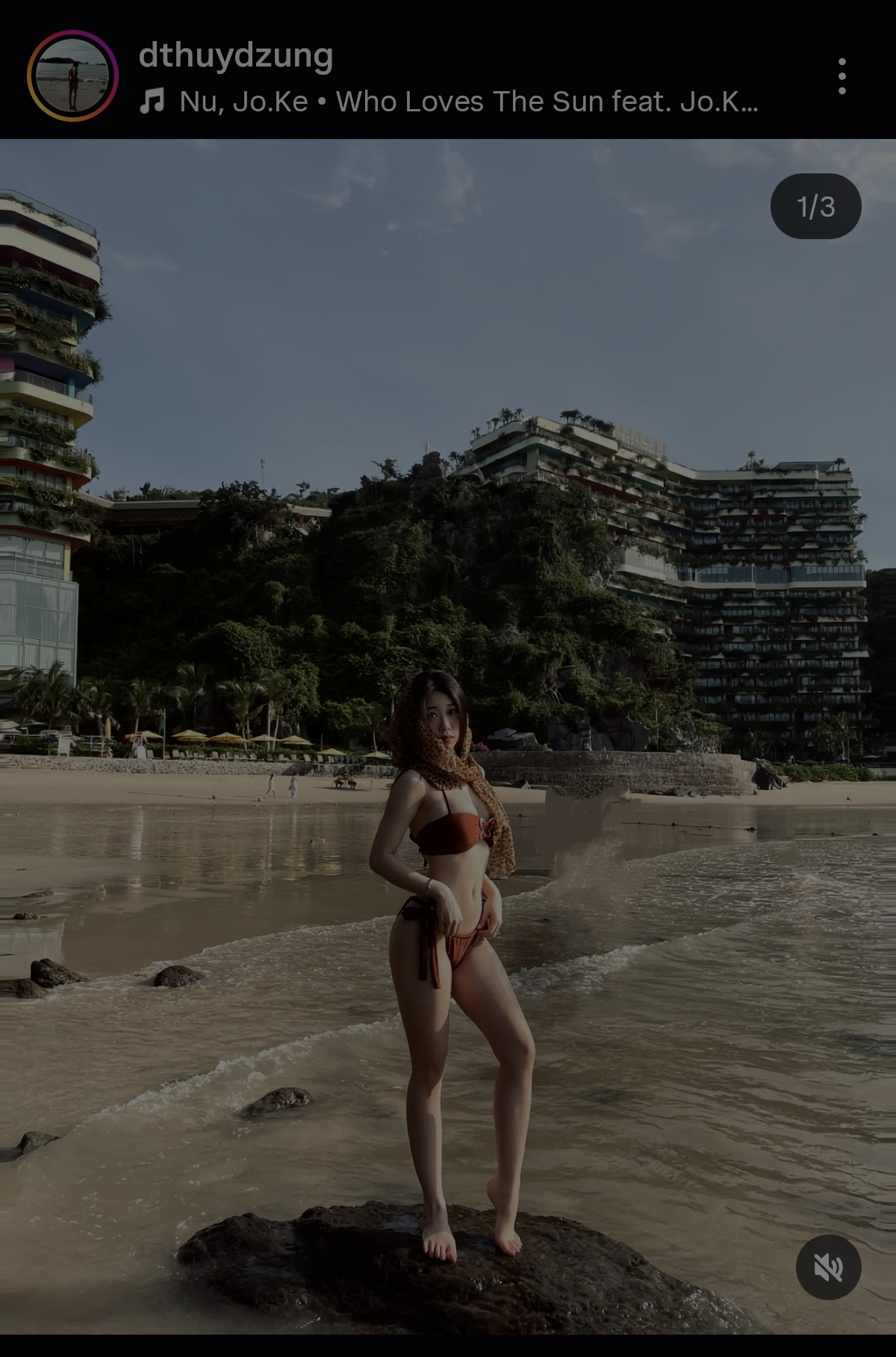 481979-936c00b7855a.jpg