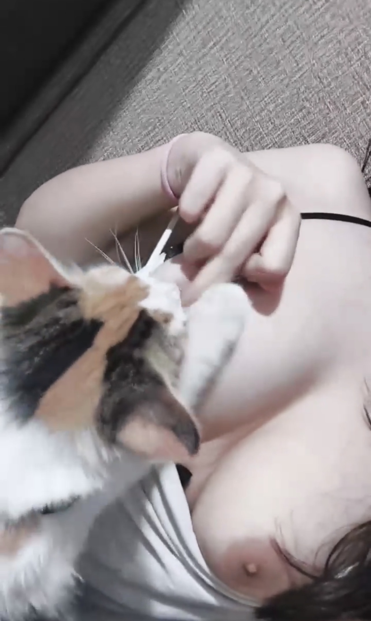 490754-2030009a6a7c.jpeg