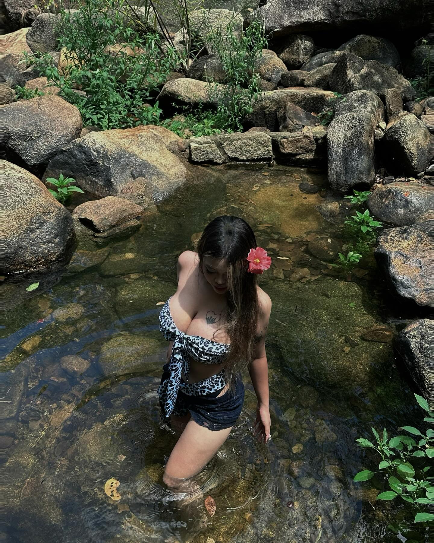 493422-33bb8b7b547f.jpg