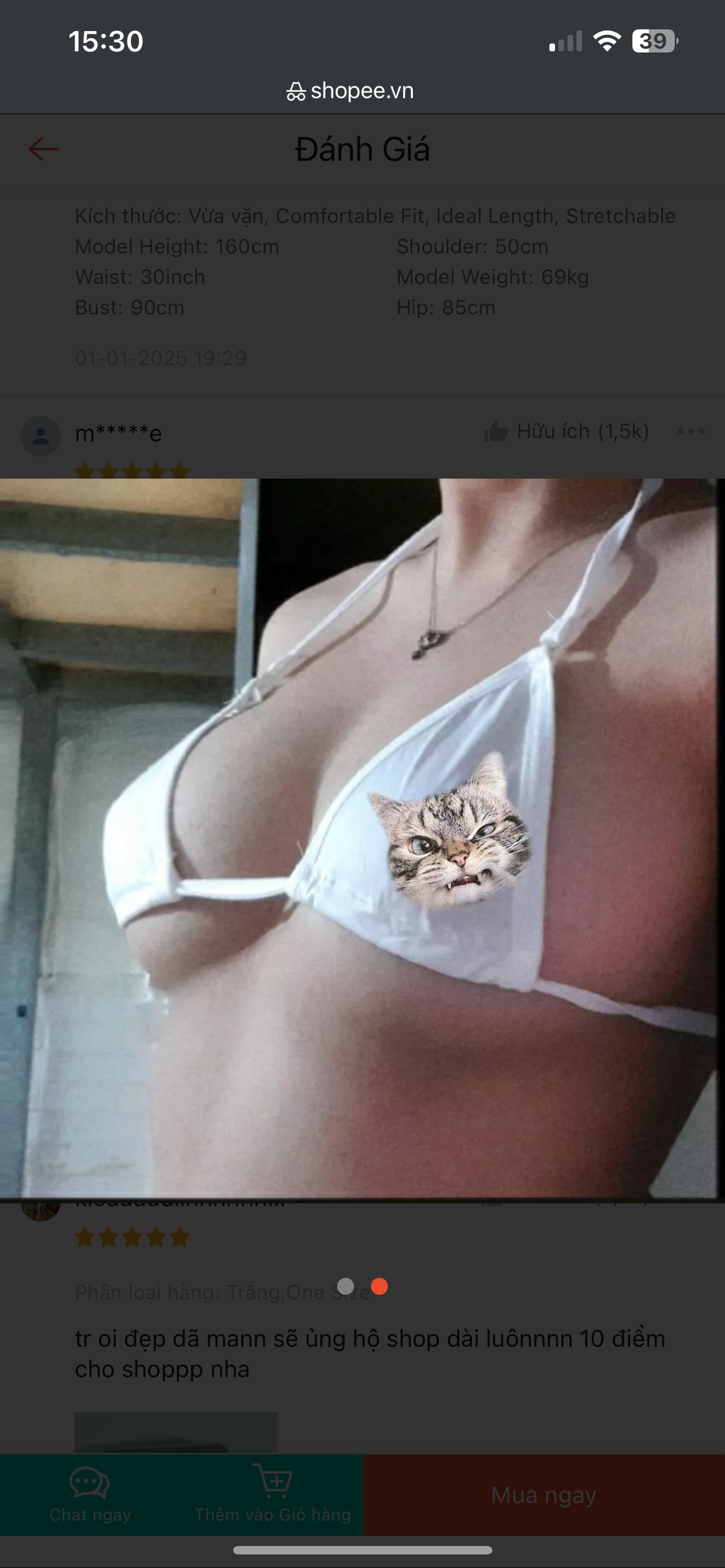 494740-286f581d9eaa.png