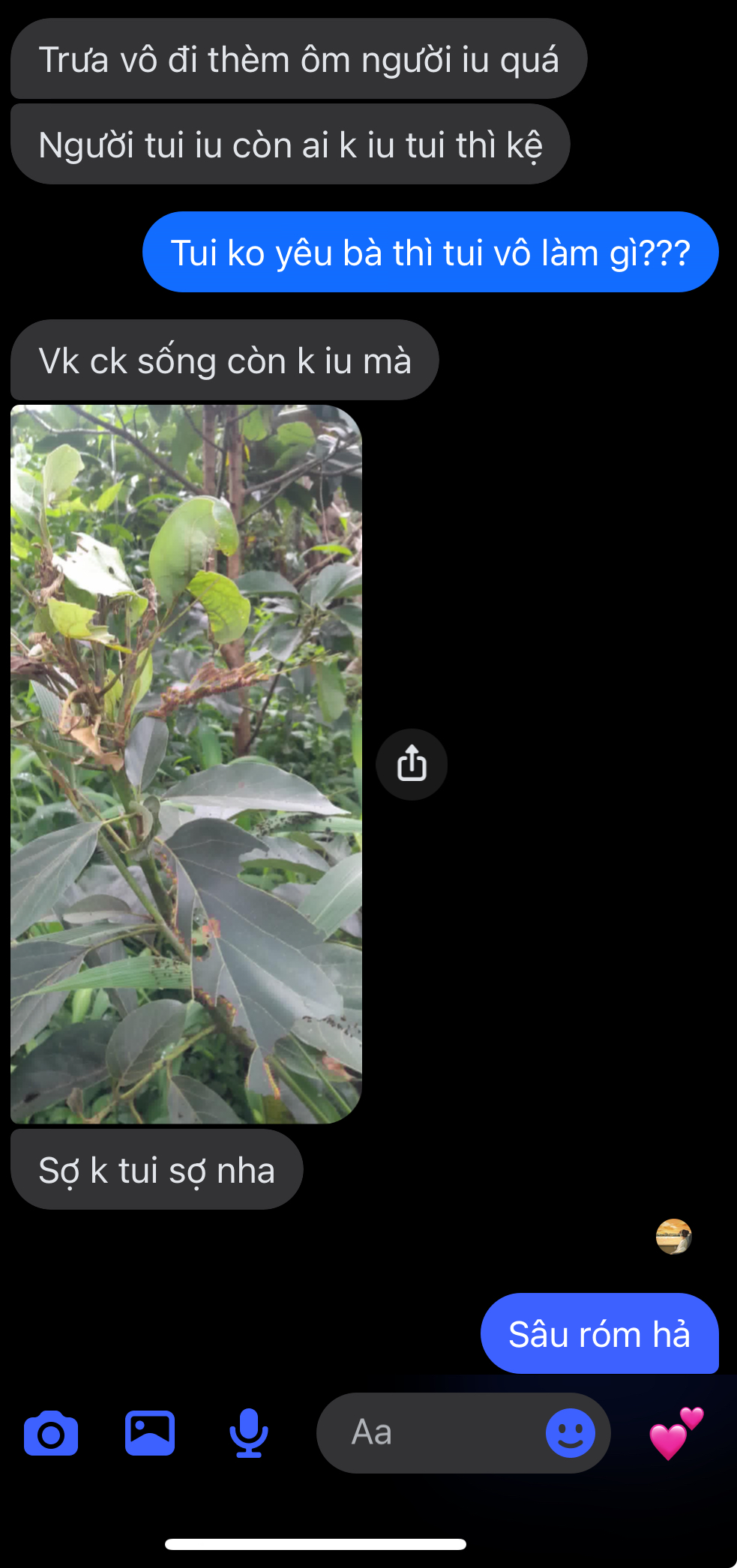 495413-176d05de0880.jpeg