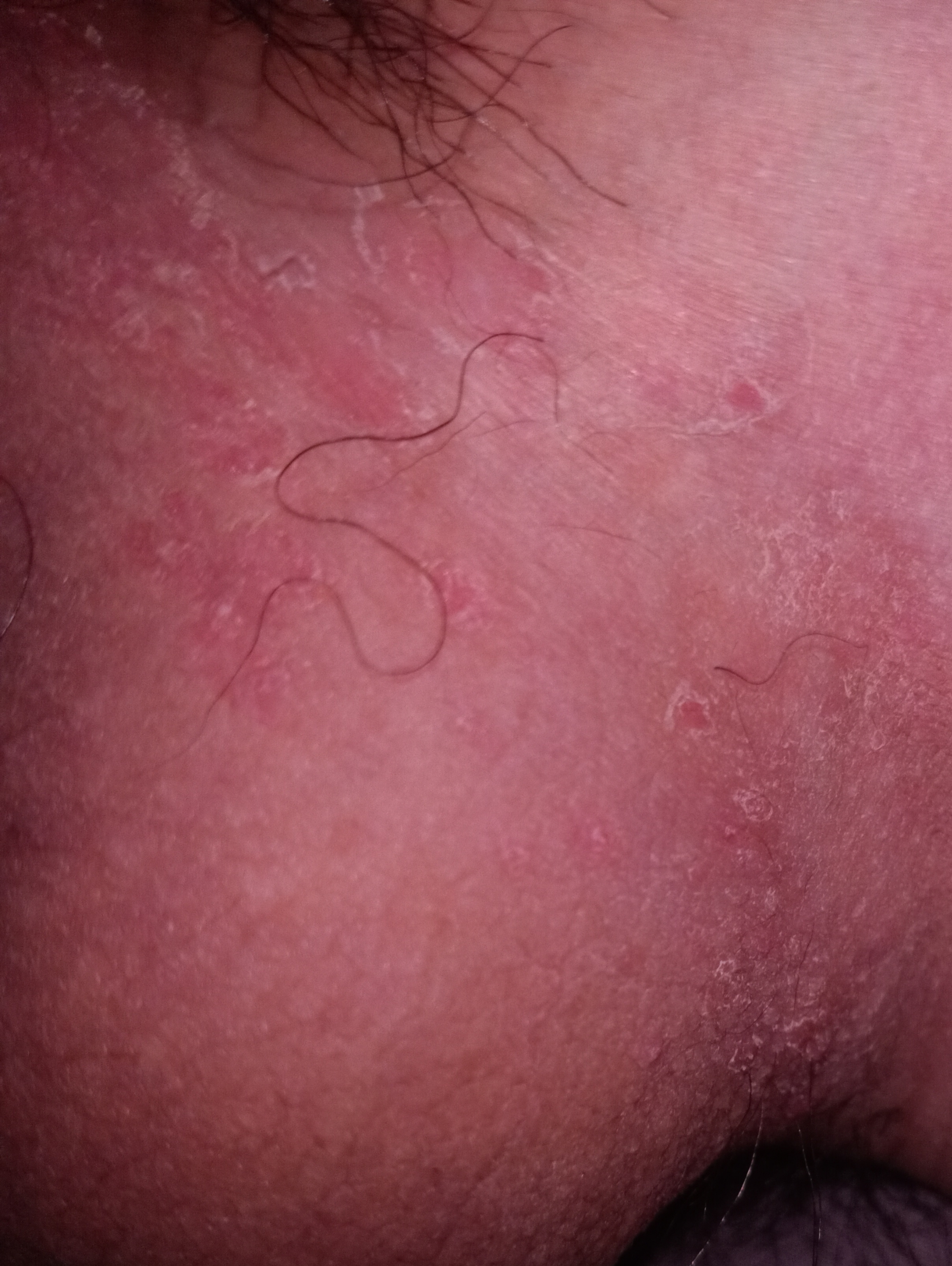 497193-1f56d4104d64.jpg