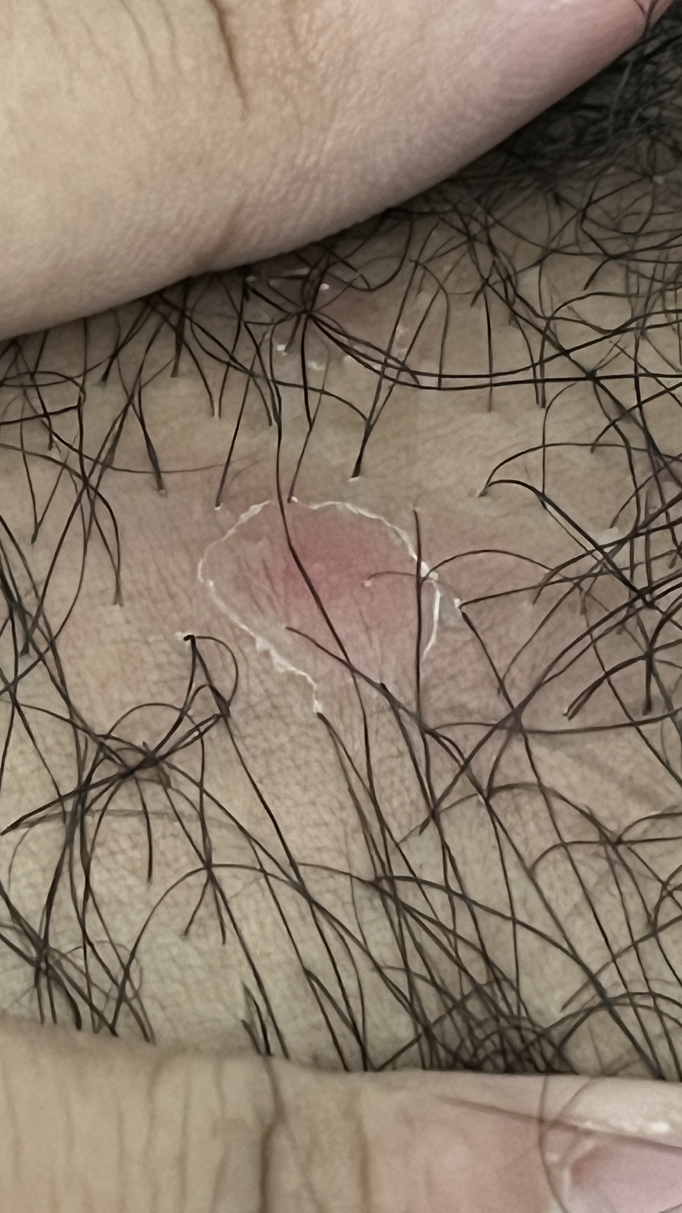 497316-f2cb220c4884.jpeg
