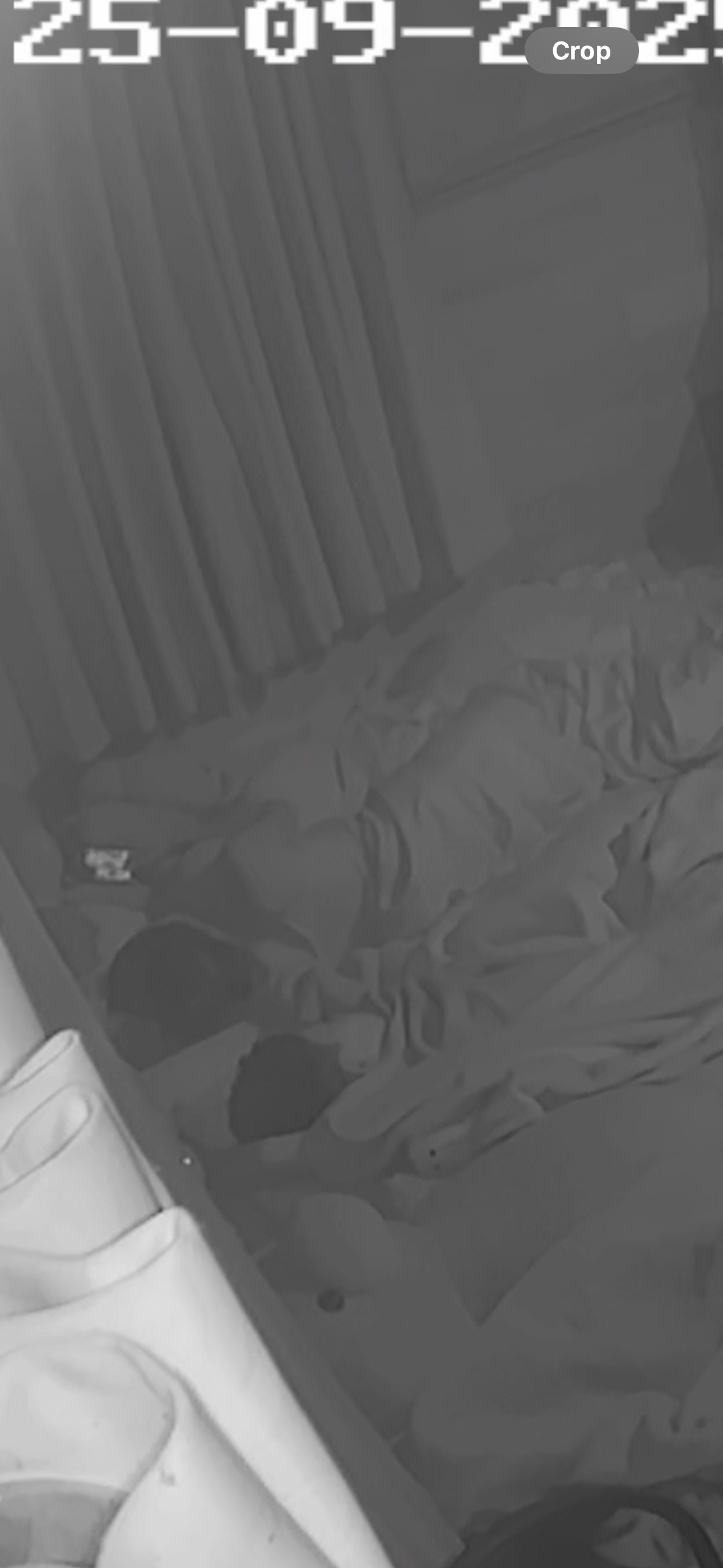 497328-94c8781bcb08.png