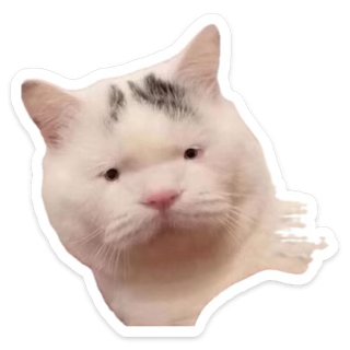 505027-ee73948c87bb.png