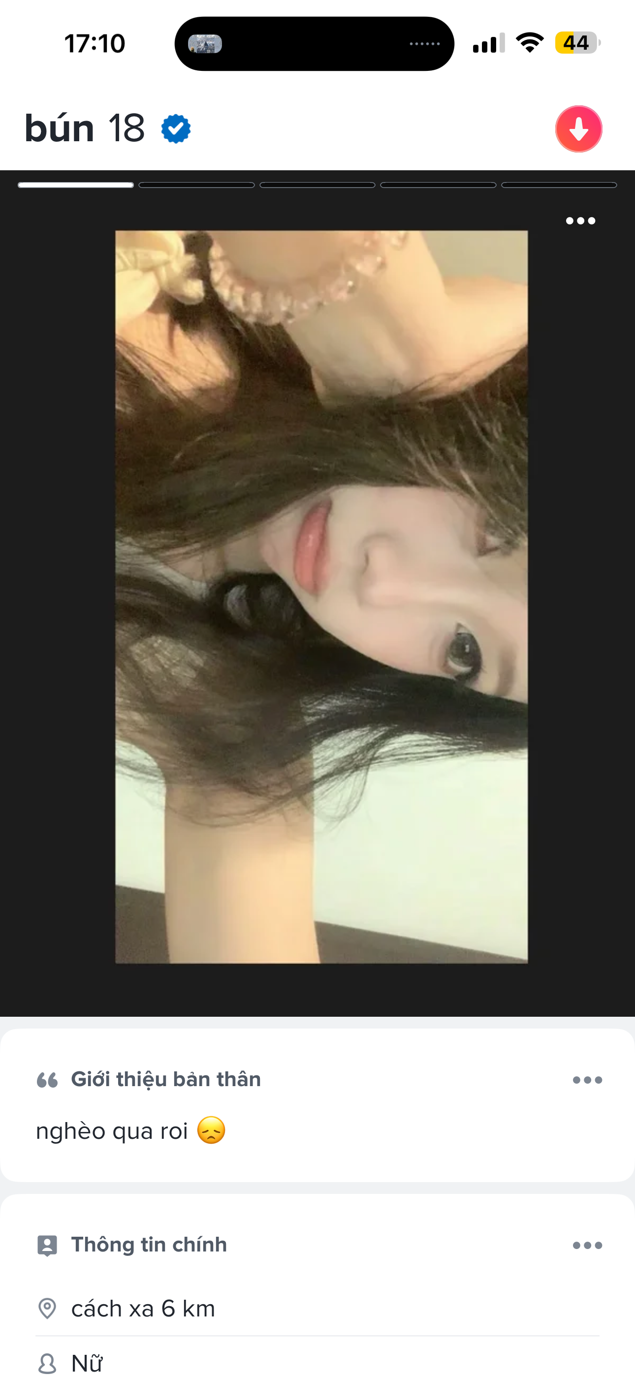 506003-c186a3fc7e53.png
