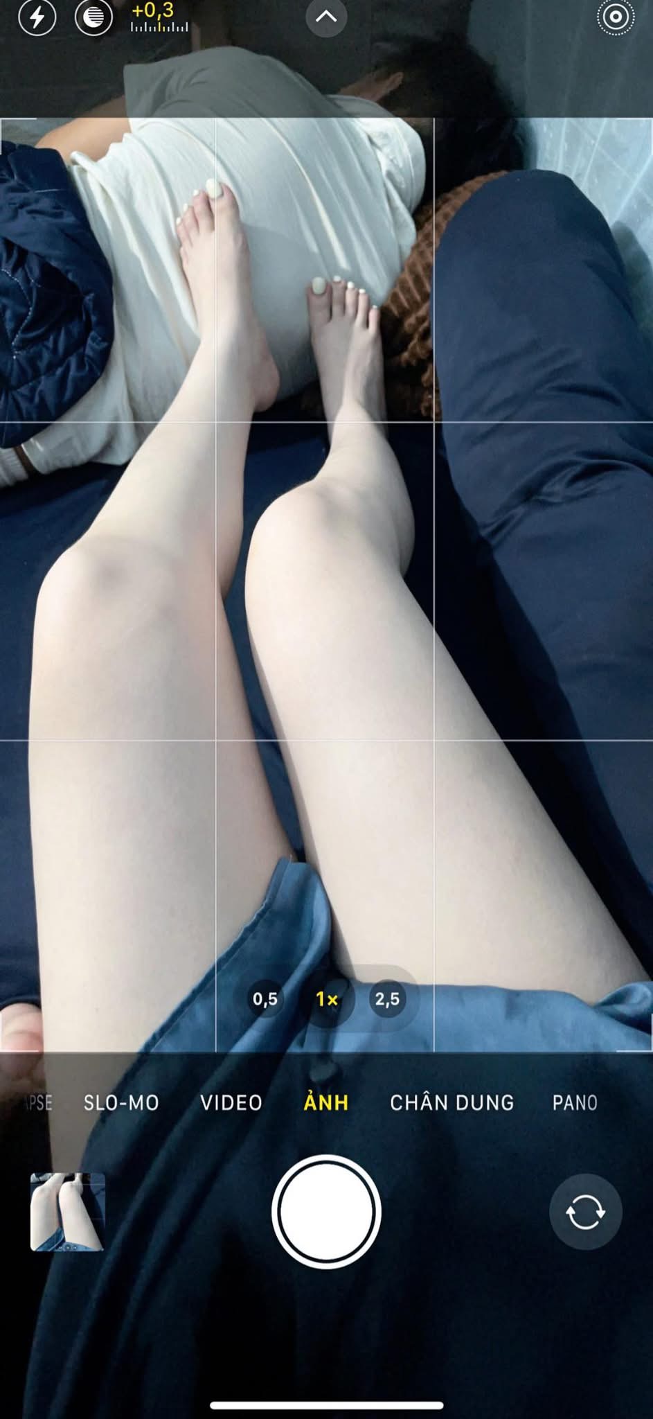 508737-69d242d8fa31.jpeg