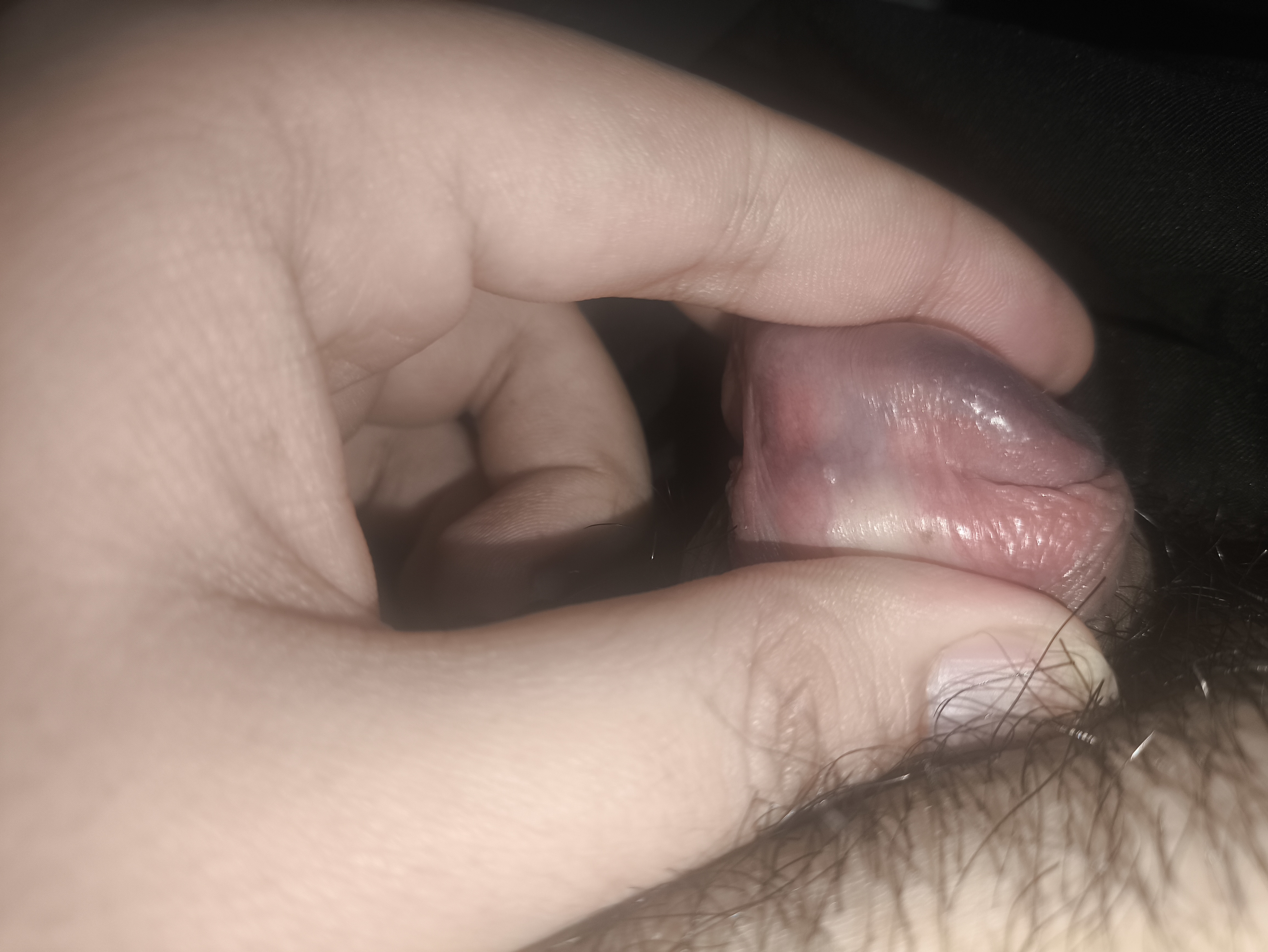 510209-b8df6230c9ee.jpg