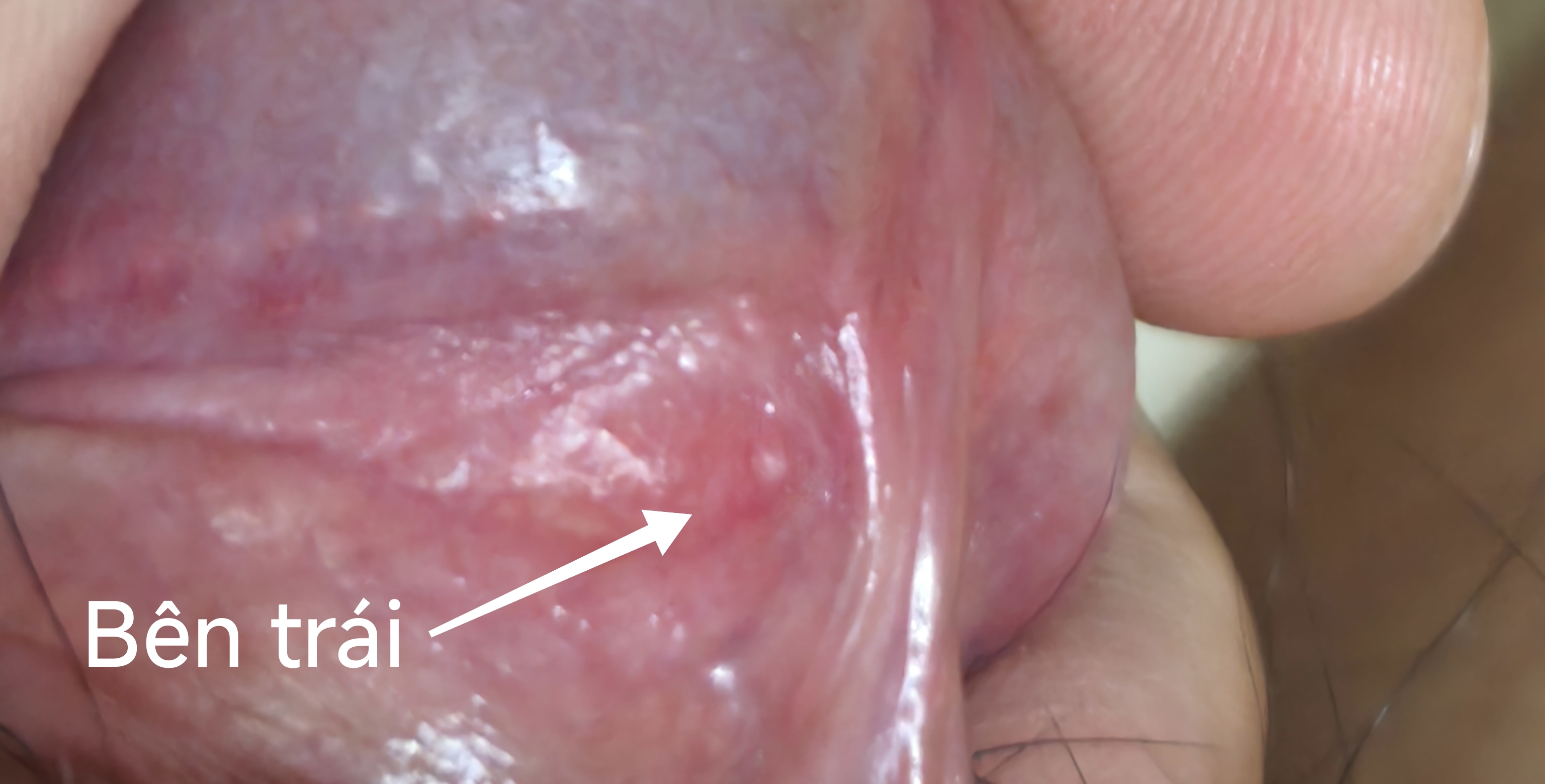 511210-034659c841cb.jpg