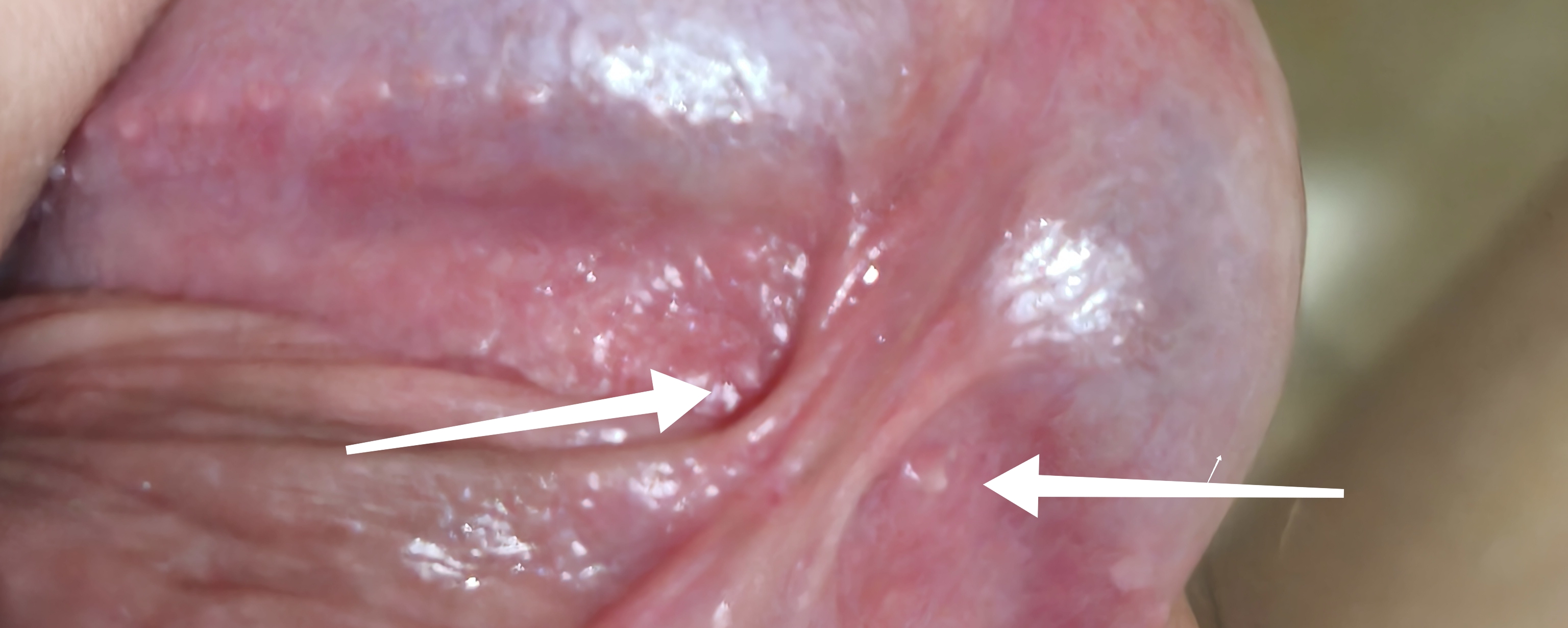 511212-e7e1443593ea.jpg