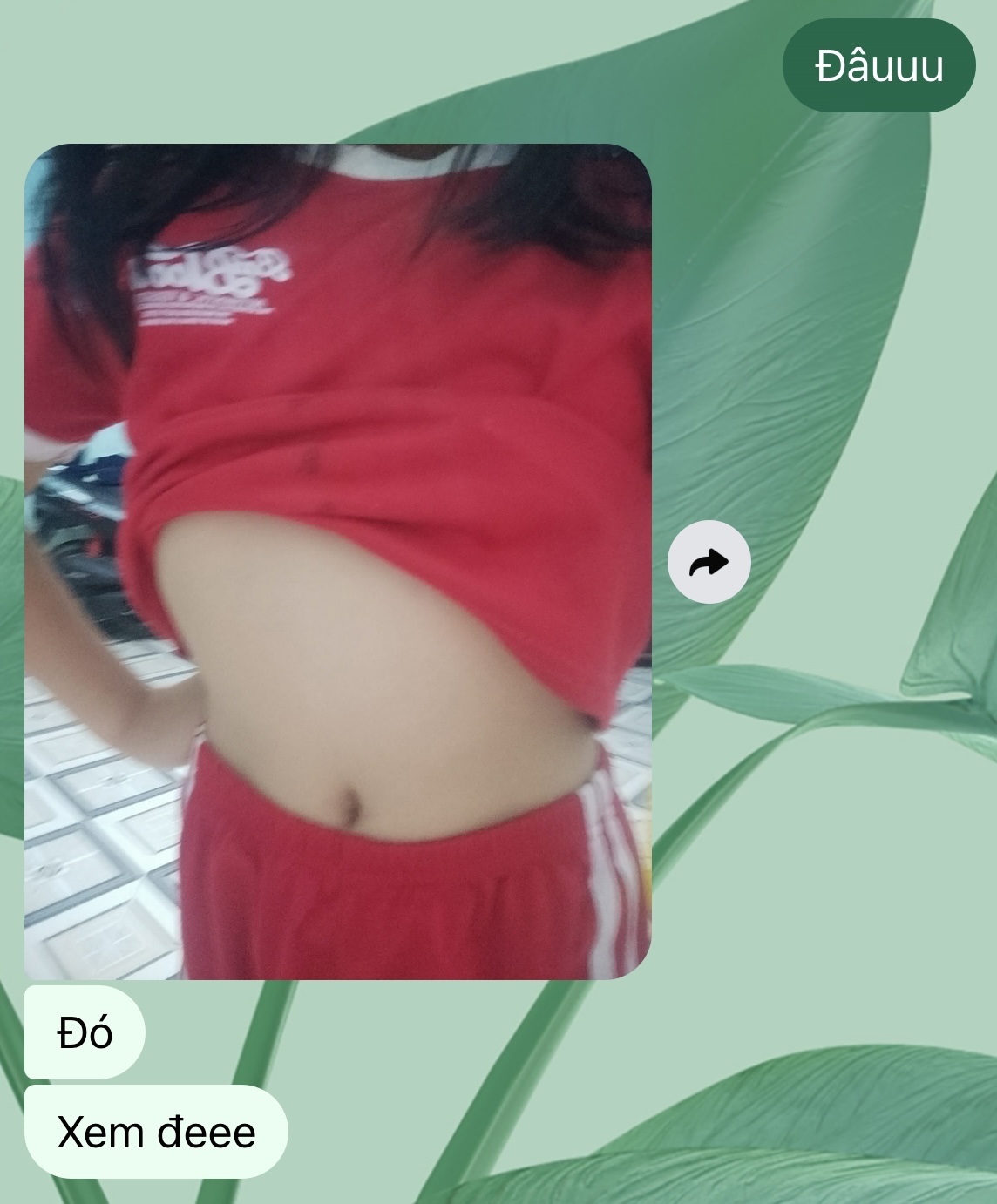 524460-9611d47f0656.jpeg