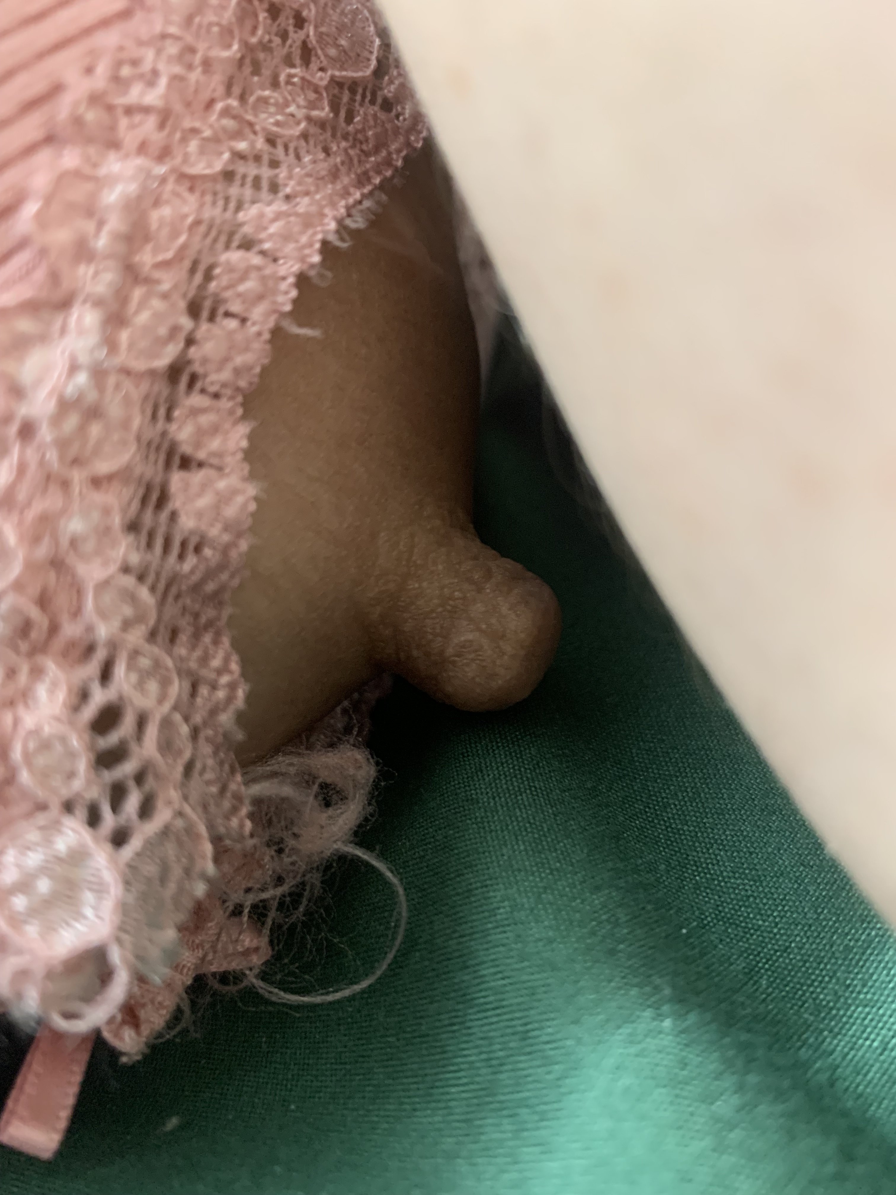 527954-874cae42ac67.jpeg