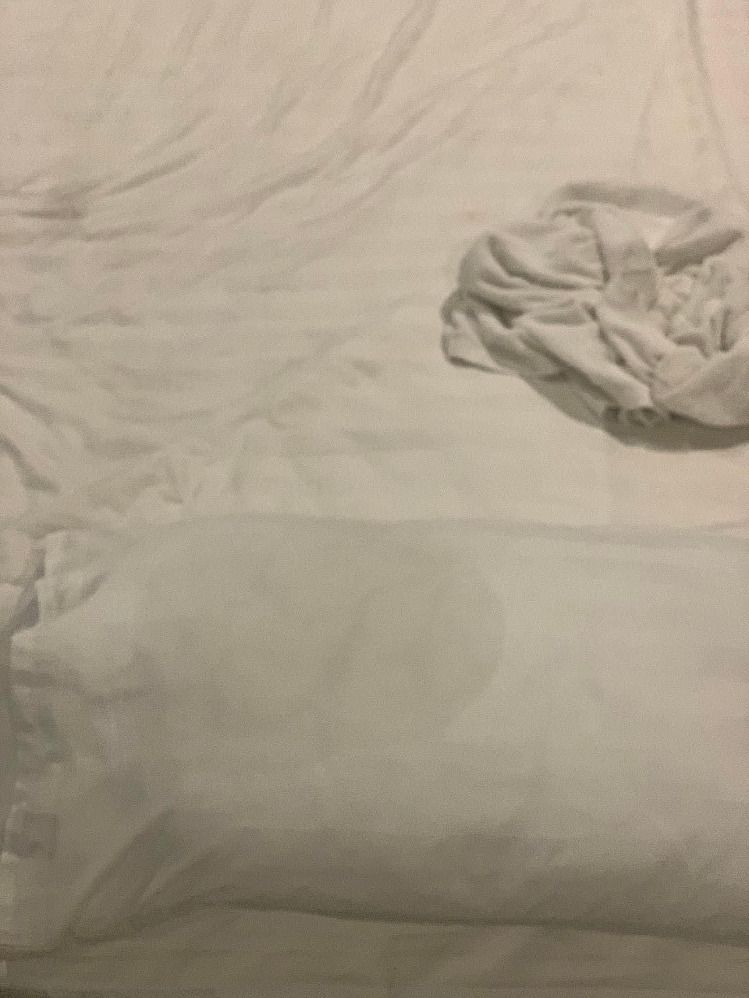 529420-69003e2756e4.jpeg