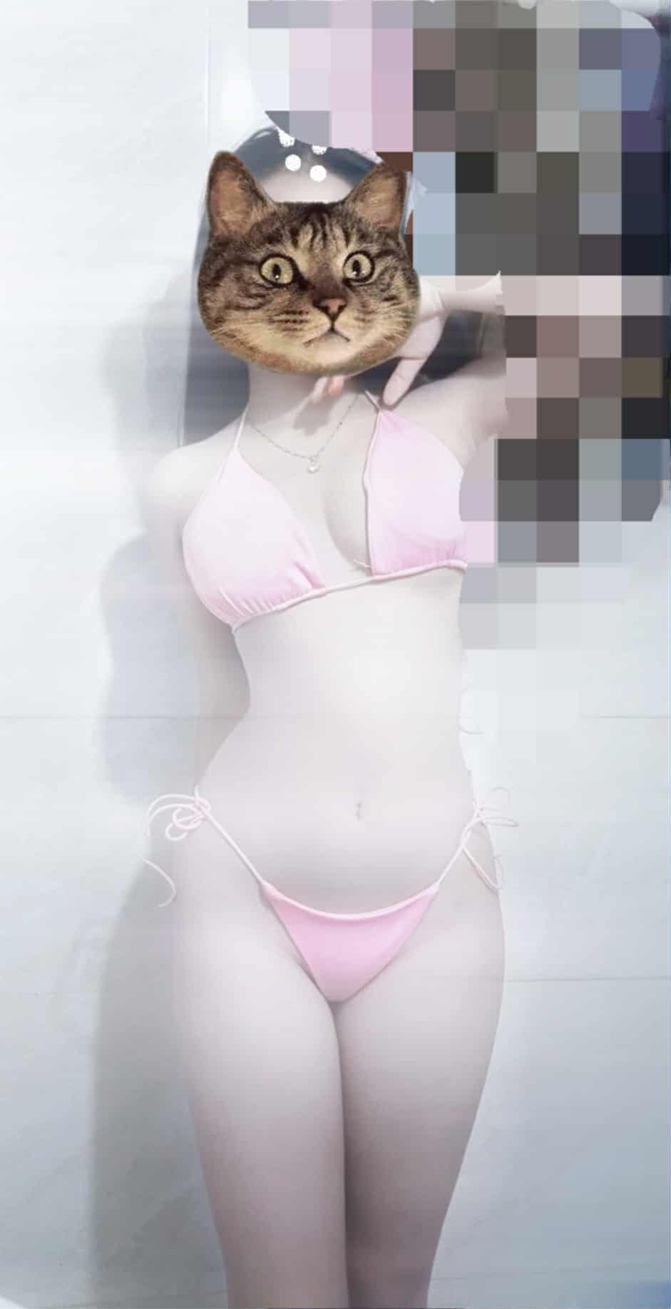 534320-b677a910fa1a.jpeg