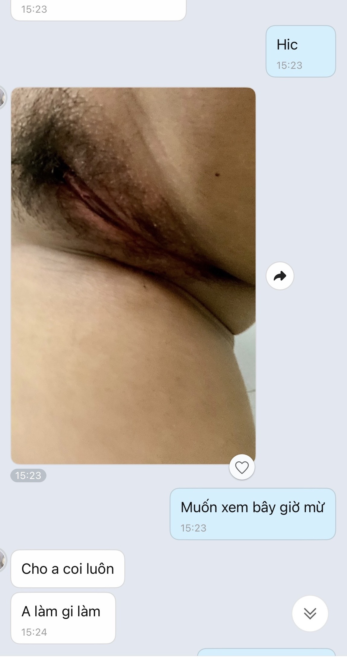538161-5c88b6c175c7.jpeg