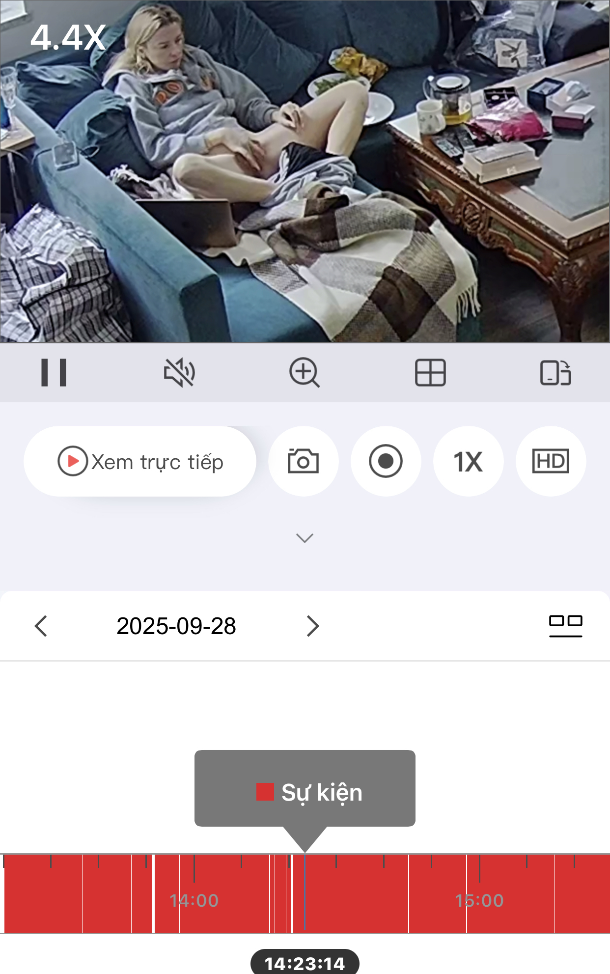 538881-73fd4bed5928.jpeg