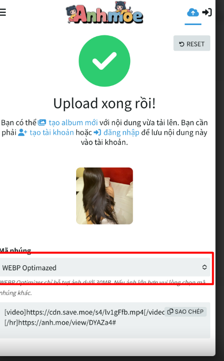550237-fa24054ecd61.png
